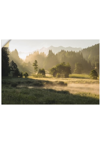 Wandbild »Sommermorgen in den Alpen«, Wiesen & Bäume, (1 St.)