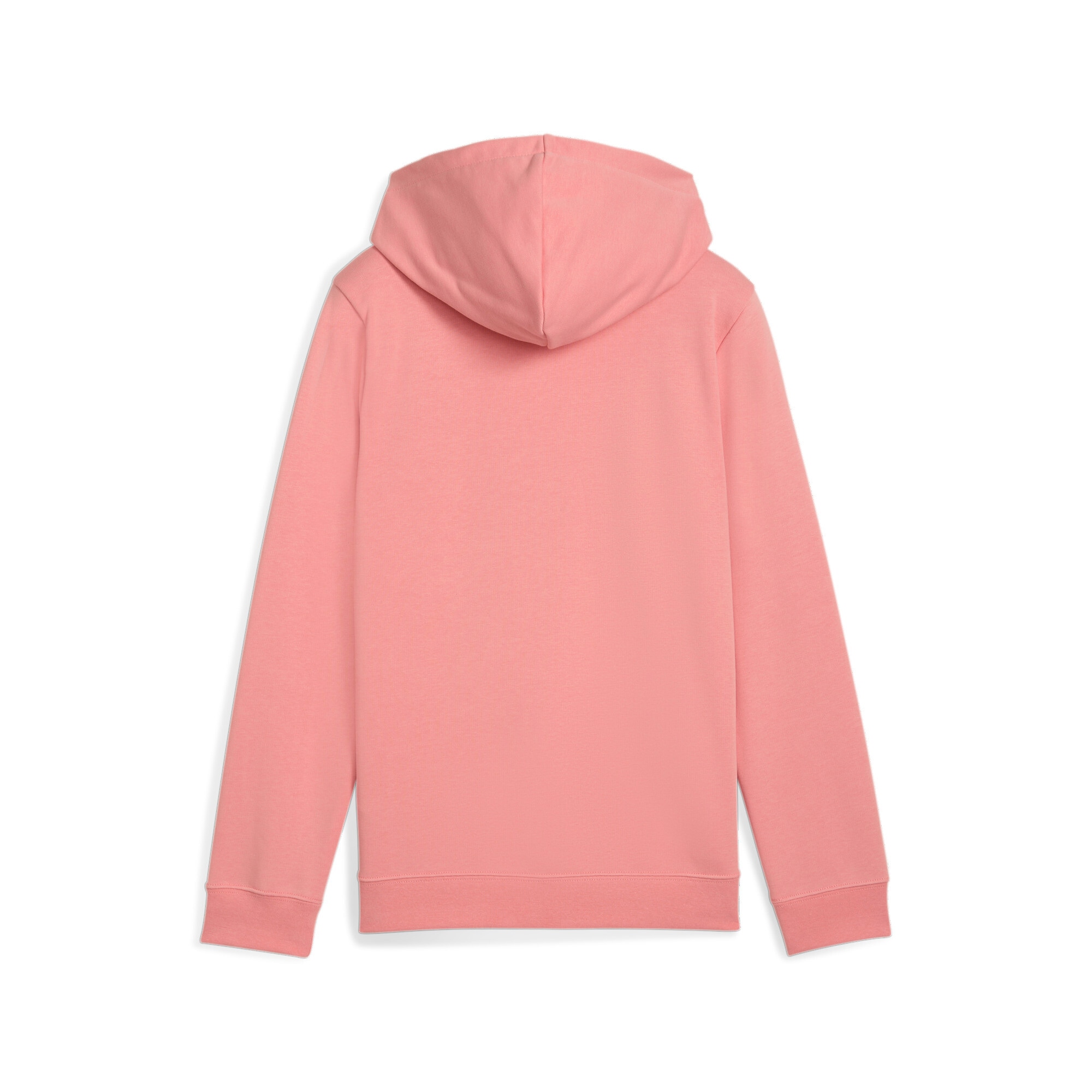 PUMA Kapuzensweatshirt »ESS NO. 1 LOGO HOODIE TR G«