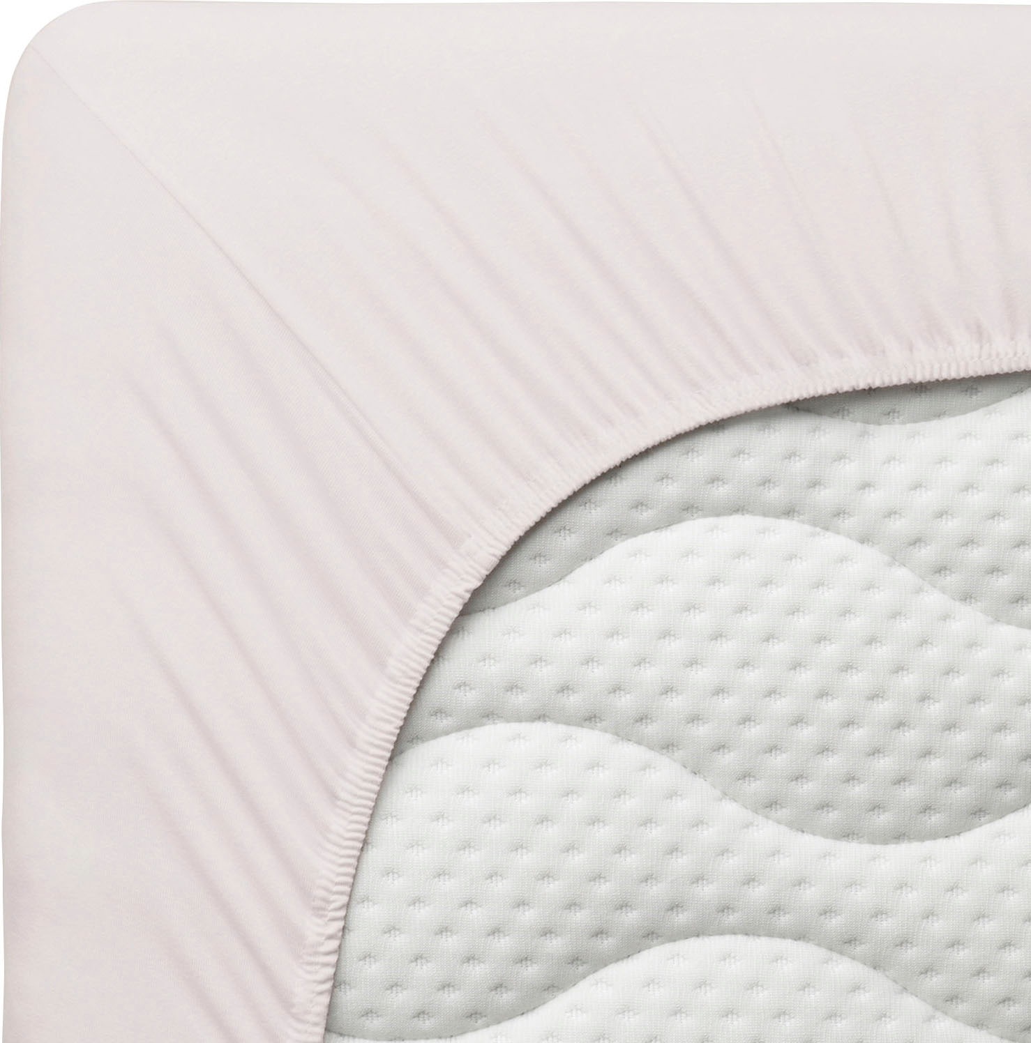 Schlafgut Spannbettlaken »PREMIUM Mako-Zwirn-Jersey, 220 g/m², 95% Bio-Baumwolle, 5% Elasthan« Bettlaken bis 30 cm Höhe, PREMIUM-Qualität langlebig, perfekter Sitz