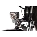 SAXXX E-Bike »X-ROAD 5.0«, 9 Gang, Heckmotor 250 W, (mit Akku-Ladegerät)