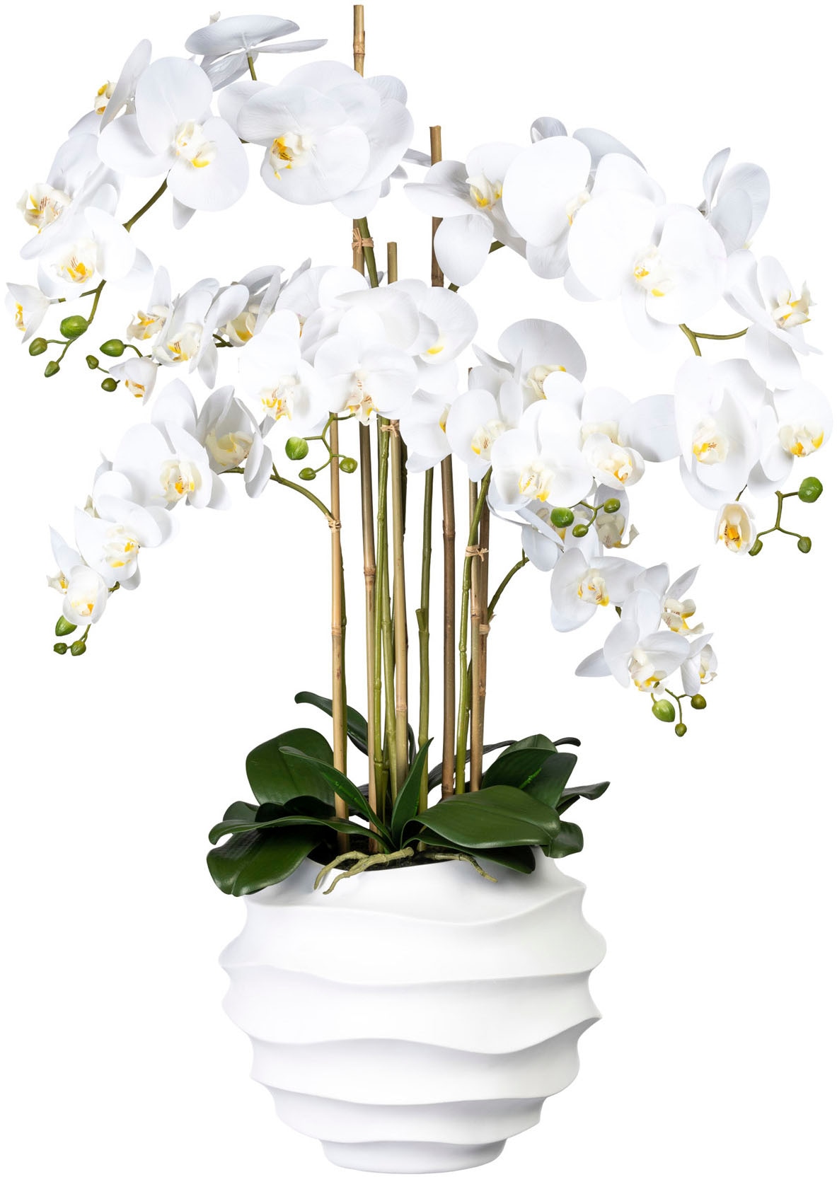 auf in »Phalaenopsis«, Creativ kaufen Kunstorchidee Design-Kunststoffvase Raten green