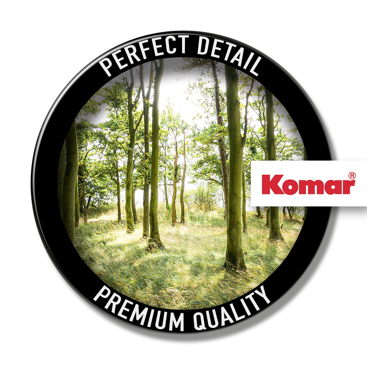 Komar Leinwandbild »Dänische Buchen - Größe 90 x 60 cm« Baum | Berge | Blumen | Blätter | Foto | Jahreszeiten | Landschaft | Meer | Natur | Palmen | Strand Packung, 1 Stk. tlg. Keilrahmenbild mi Echtholzrahmen