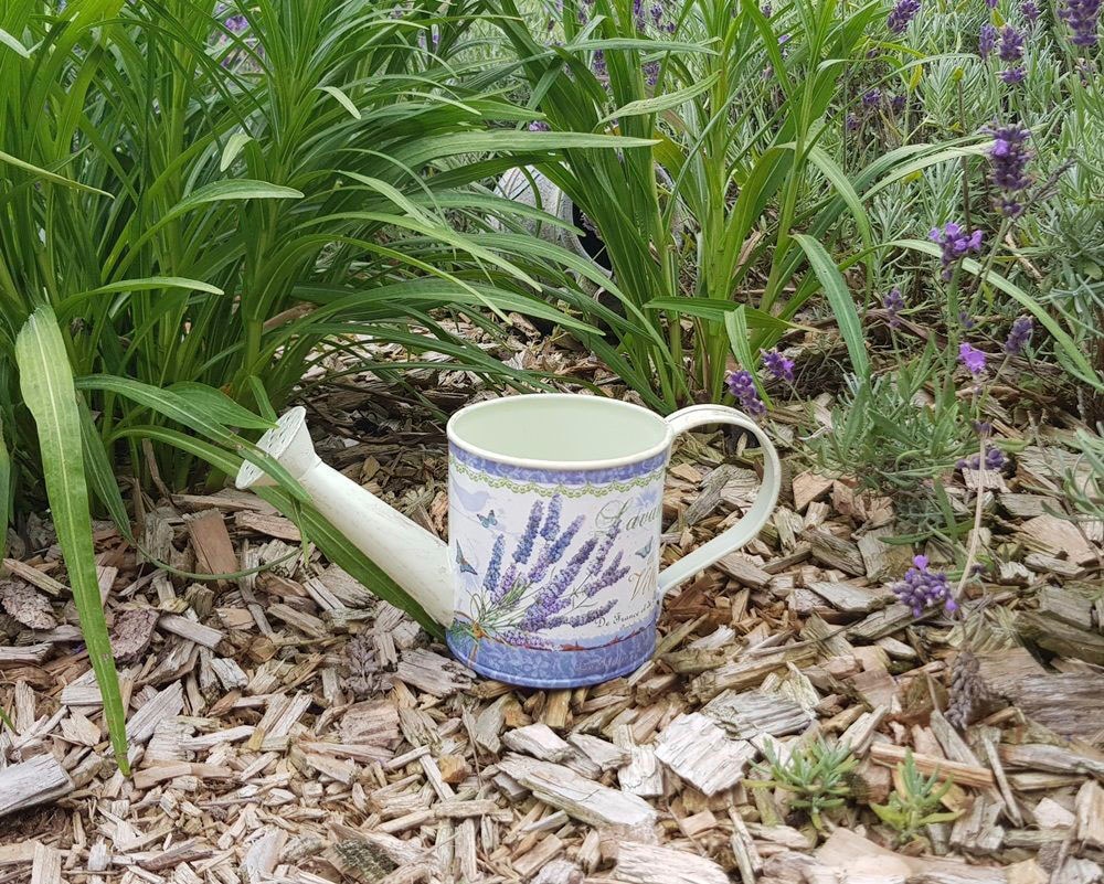 Ambiente Haus Gießkanne »Lavendel-Gießkanne klein«, (1 tlg.)