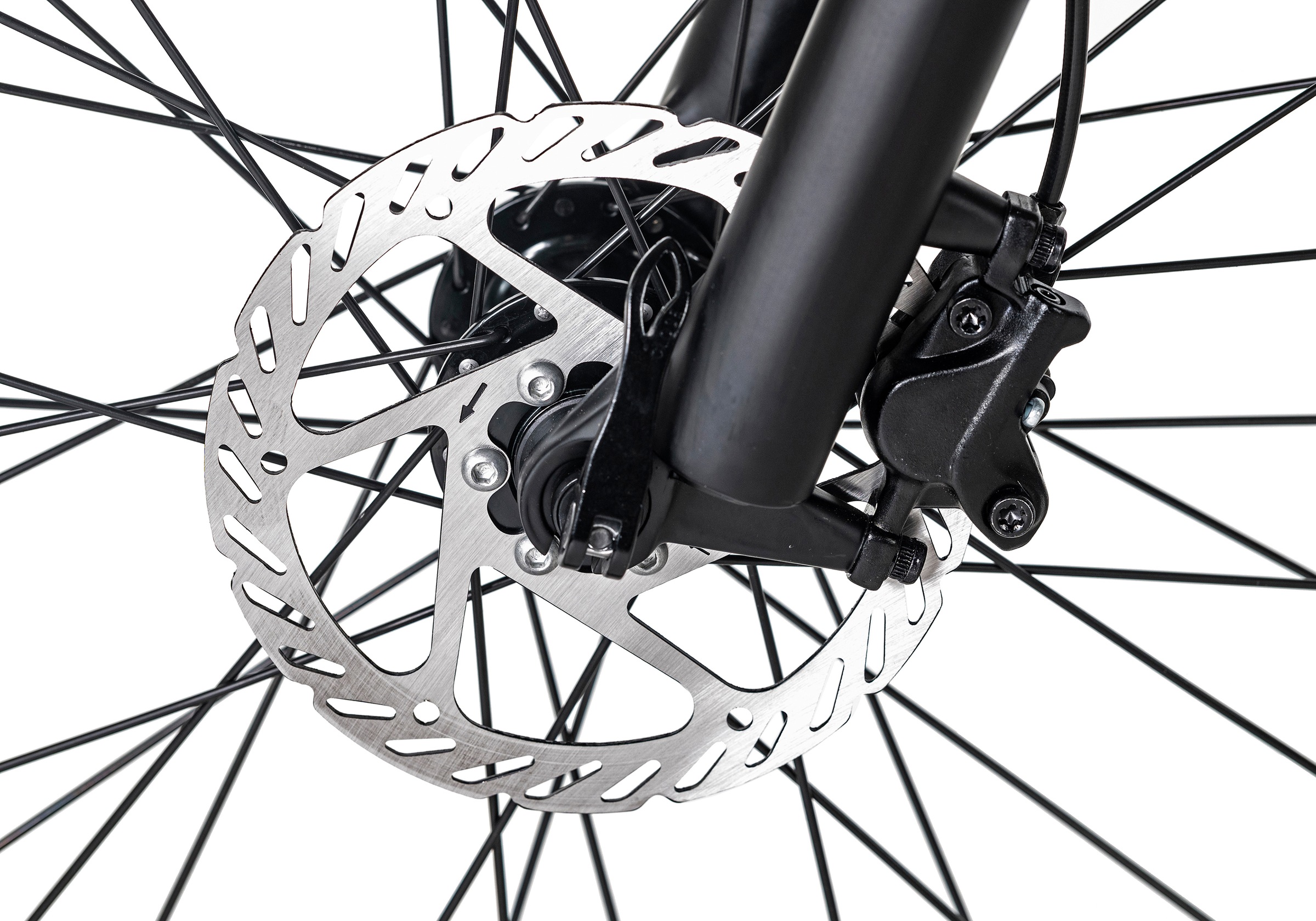 Adore E-Bike »Raccoon«, 24 Gang, Shimano, Acera, Heckmotor 250 W, Pedelec, Elektrofahrrad für Damen u. Herren, MTB