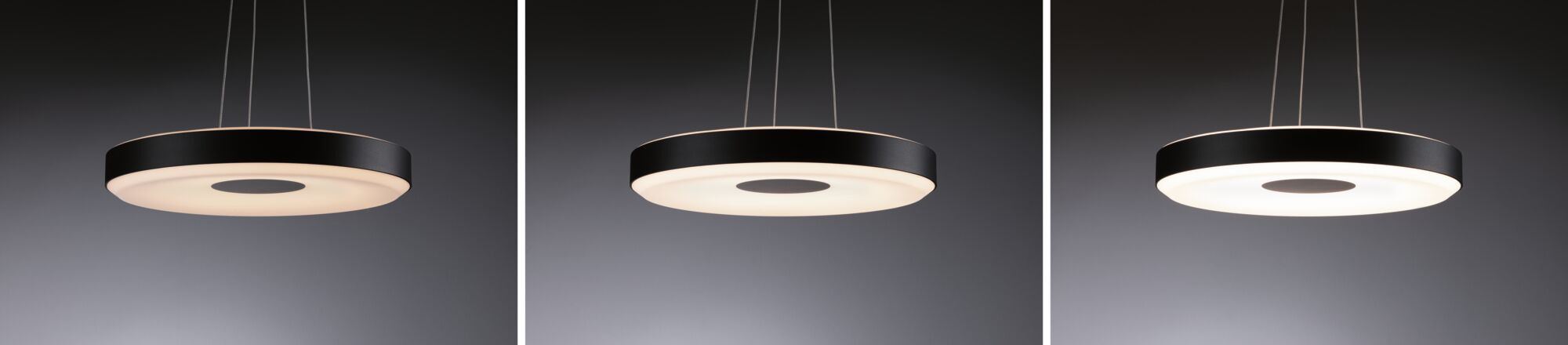 Paulmann Pendelleuchte »Puric Pane«, 1 flammig, LED, dimmbar, Schwarz, Grau, Metall