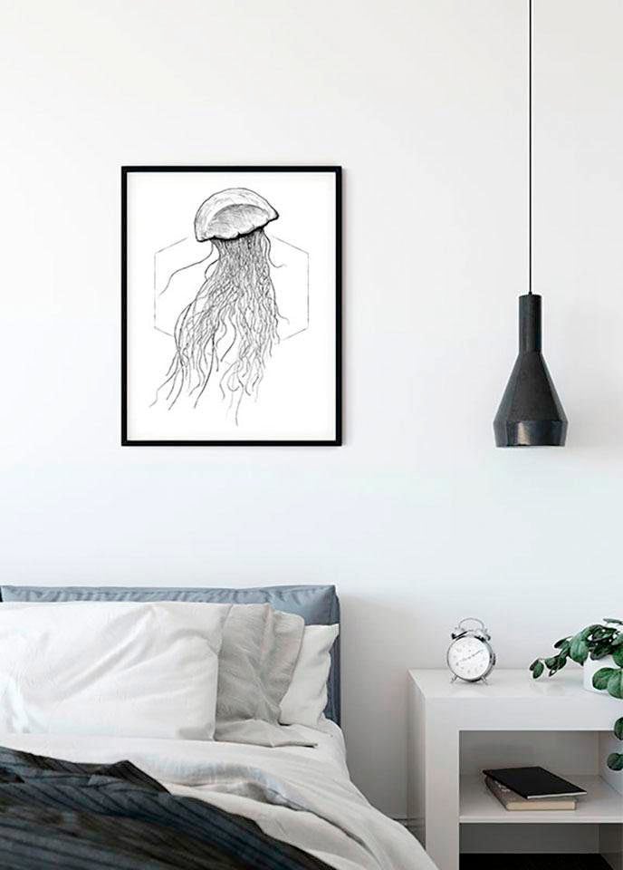 Komar Bild »Jellyfish White« Tiere 1 Stk. tlg. Wandbild zur Dekoration - ohne Rahmen