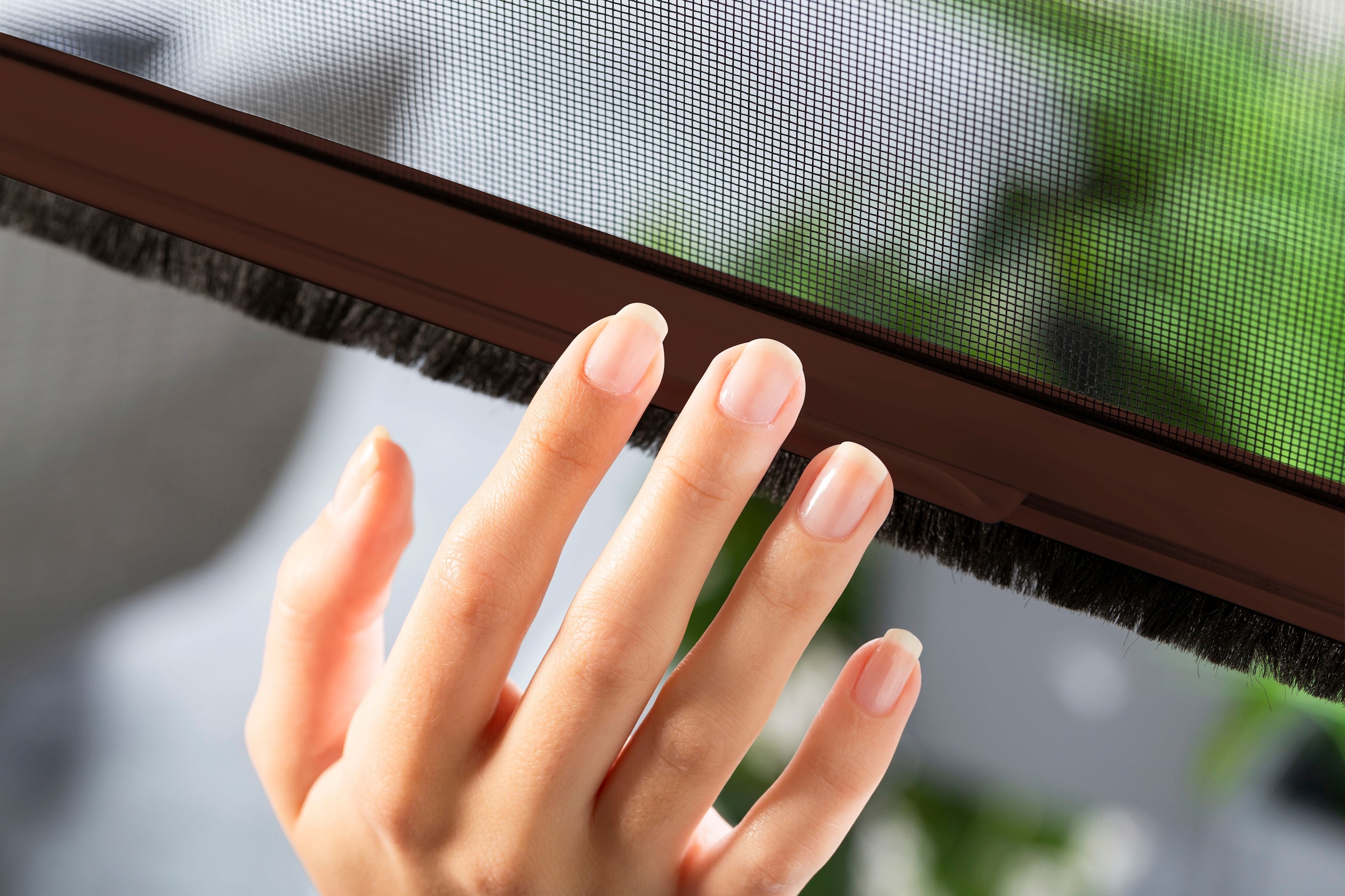 hecht international Insektenschutzrollo »SMART« transparent Insektenschutz für Fenster, kürzbar