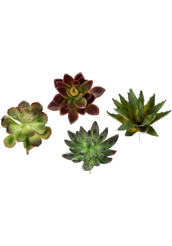 Kunstpflanze »Dekorative Sukkulenten«, 4er Set, künstliche Pflanzen, Sukkulenten,...