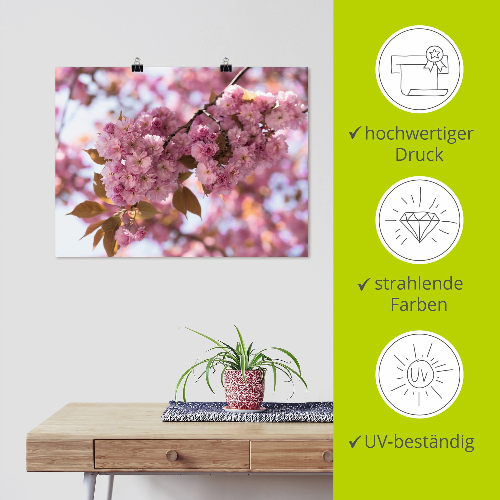 Artland Wandbild »Japanische Kirschblüte in Love I« Blumen 1 Stk. tlg. als Leinwandbild, Poster in verschied. Größen