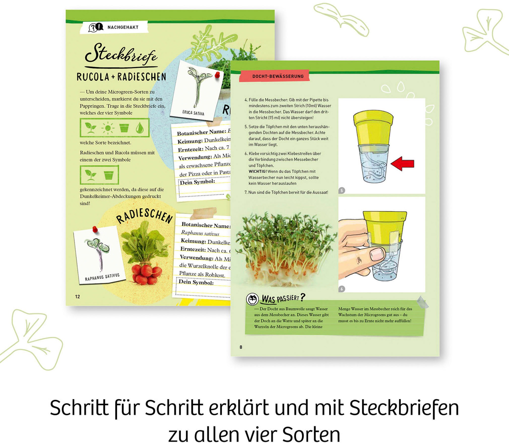 Kosmos Experimentierkasten »Microgreen-Garten«, Made in Germany