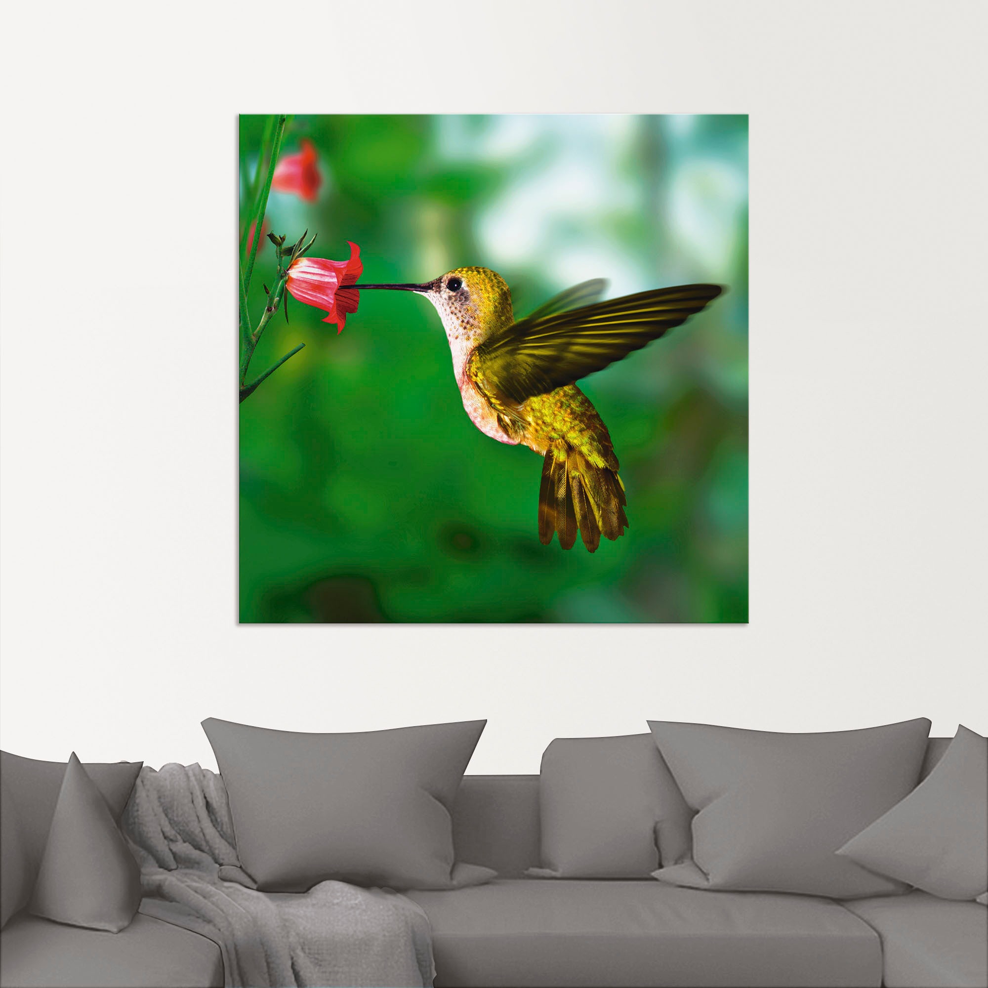 bequem St.), versch. in »Kolibri«, Alubild, (1 Artland oder Wandbild Poster Leinwandbild, als Wandaufkleber Vögel, kaufen Größen