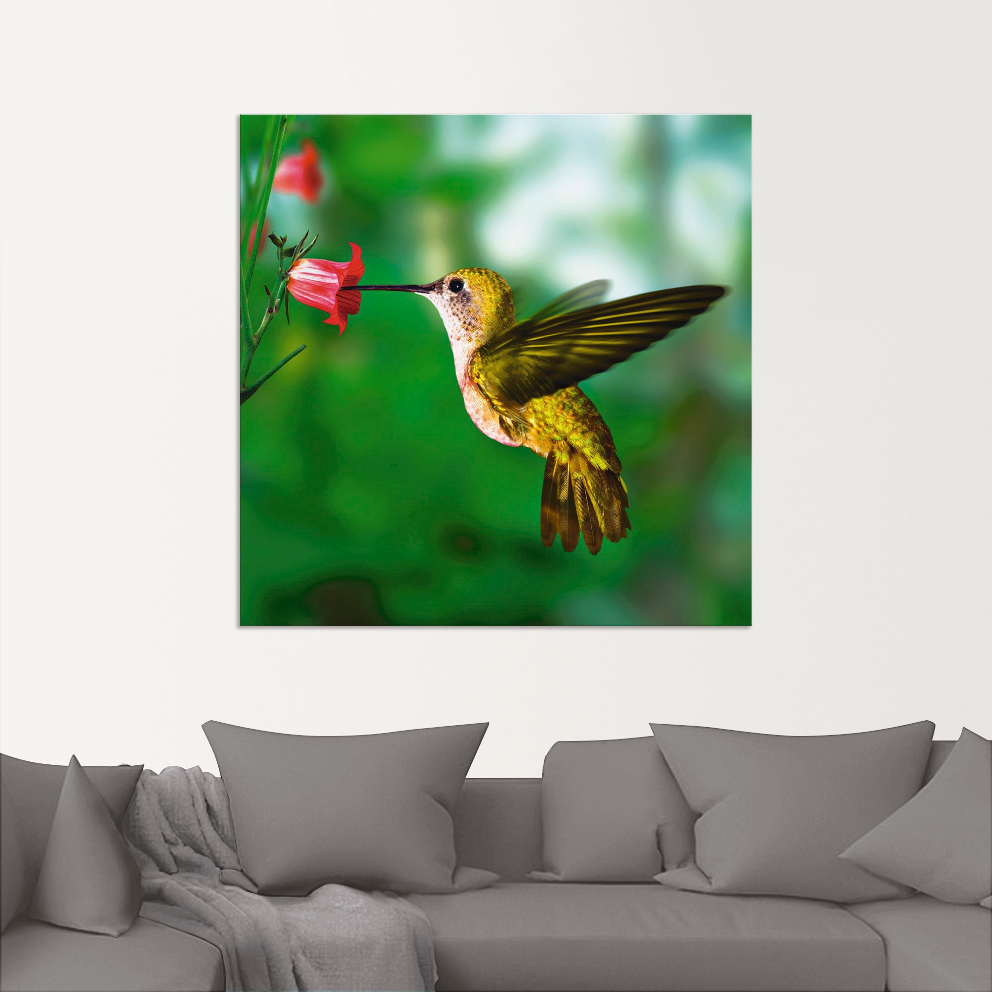 Artland Wandbild »Kolibri«, Vögel, (1 St.), als Alubild, Outdoorbild, Leinwandbild, Poster in verschied. Größen