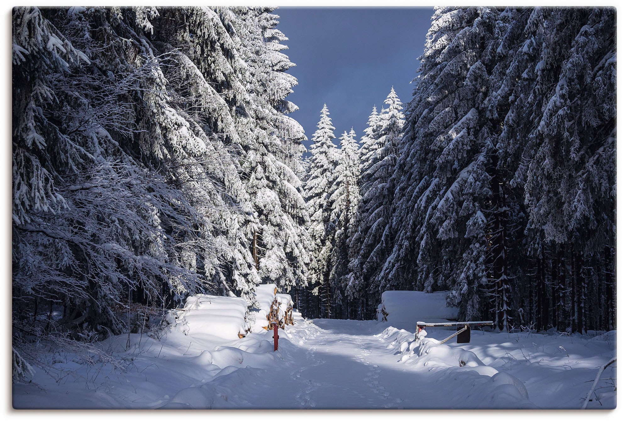 Leinwandbild »Winter im Thüringer Wald II«, Waldbilder, (1 St.), auf Keilrahmen gespannt