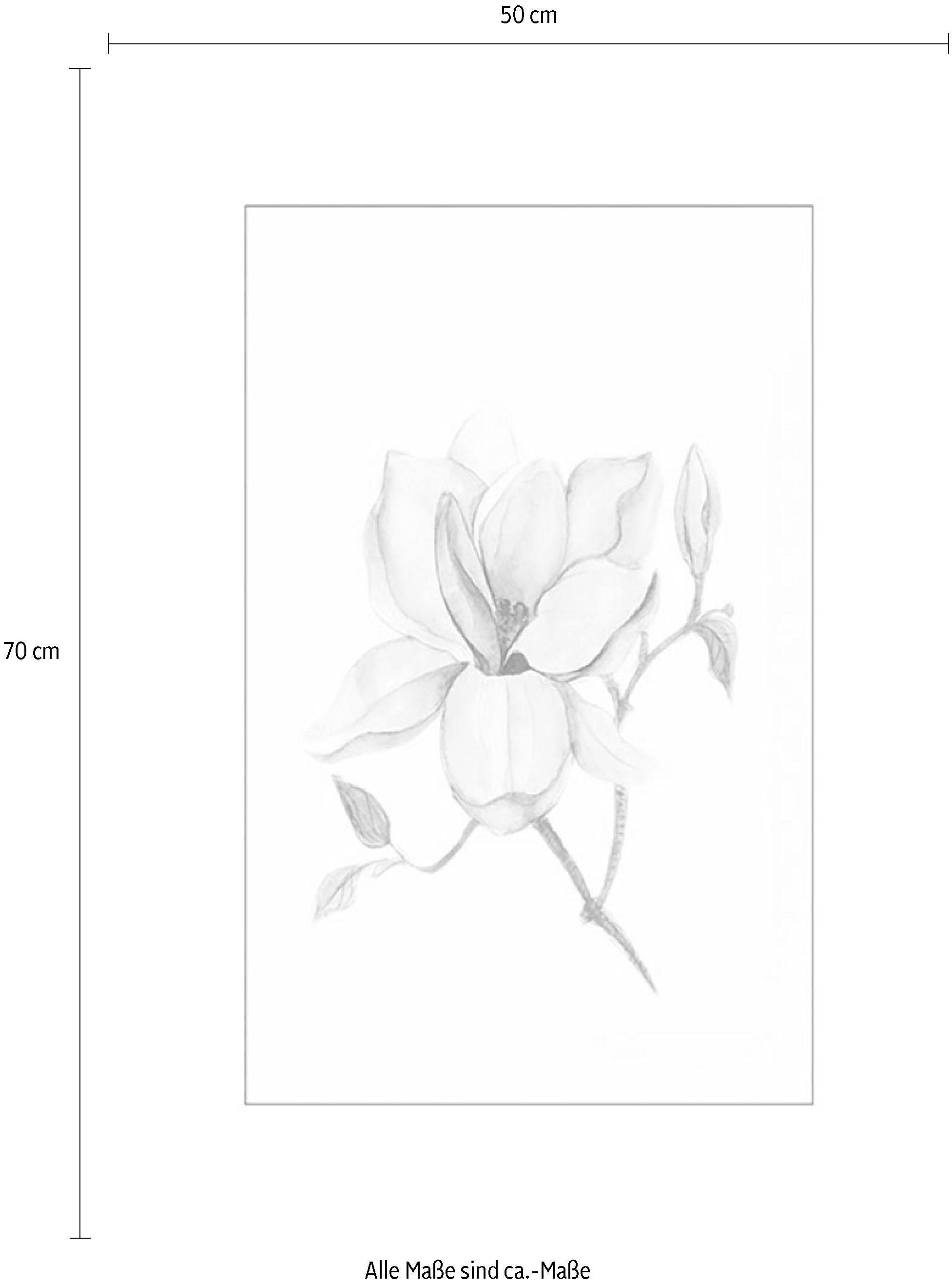 Poster Schlafzimmer, Wohnzimmer Jahren 3 mit | »Magnolia kaufen XXL Kinderzimmer, Shine«, Komar online Garantie Pflanzen-Blätter,