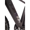 SAXXX E-Bike »X-ROAD 5.0«, 9 Gang, Heckmotor 250 W, (mit Akku-Ladegerät)