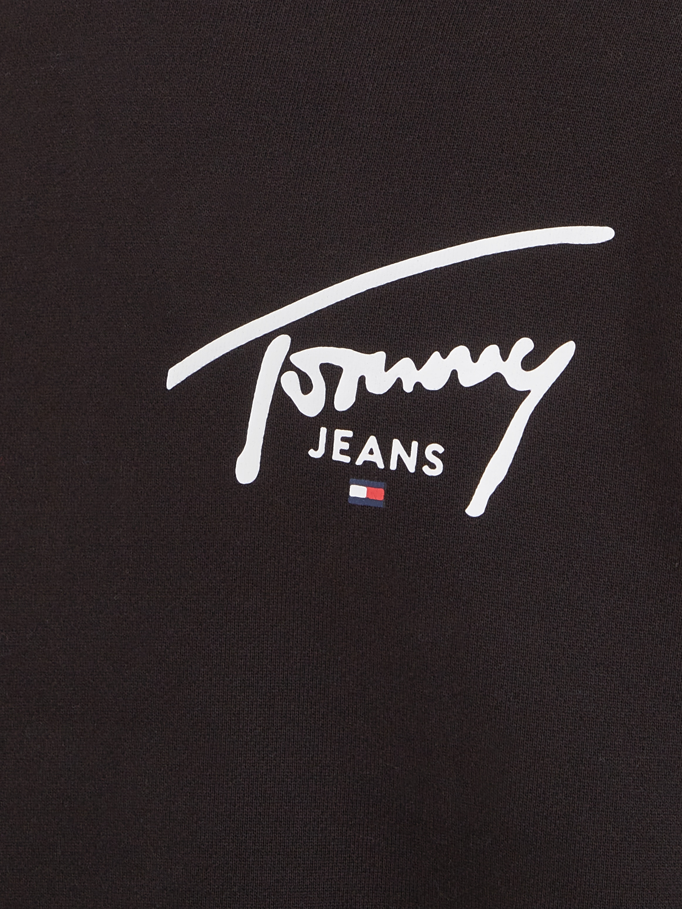 Tommy Jeans Plus Sweater »TJM REG ENTRY GRAPHIC CREW EXT«, Große Größen mit Logoschriftzug