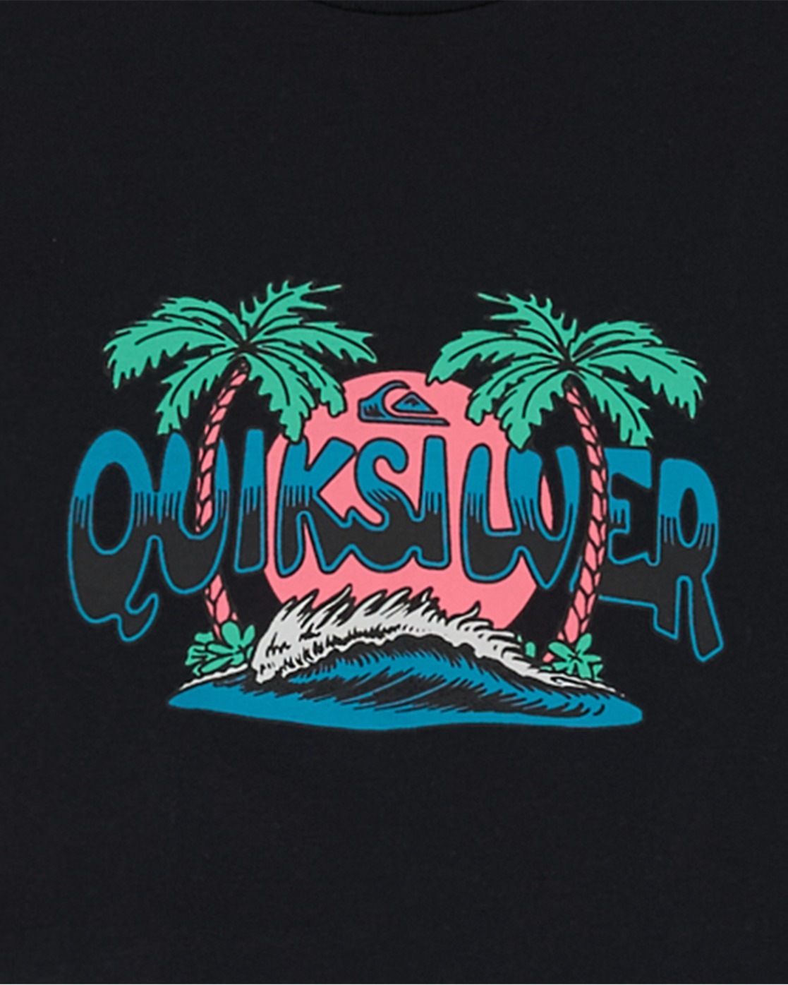 Quiksilver T-Shirt »Ev Palm Horizon«