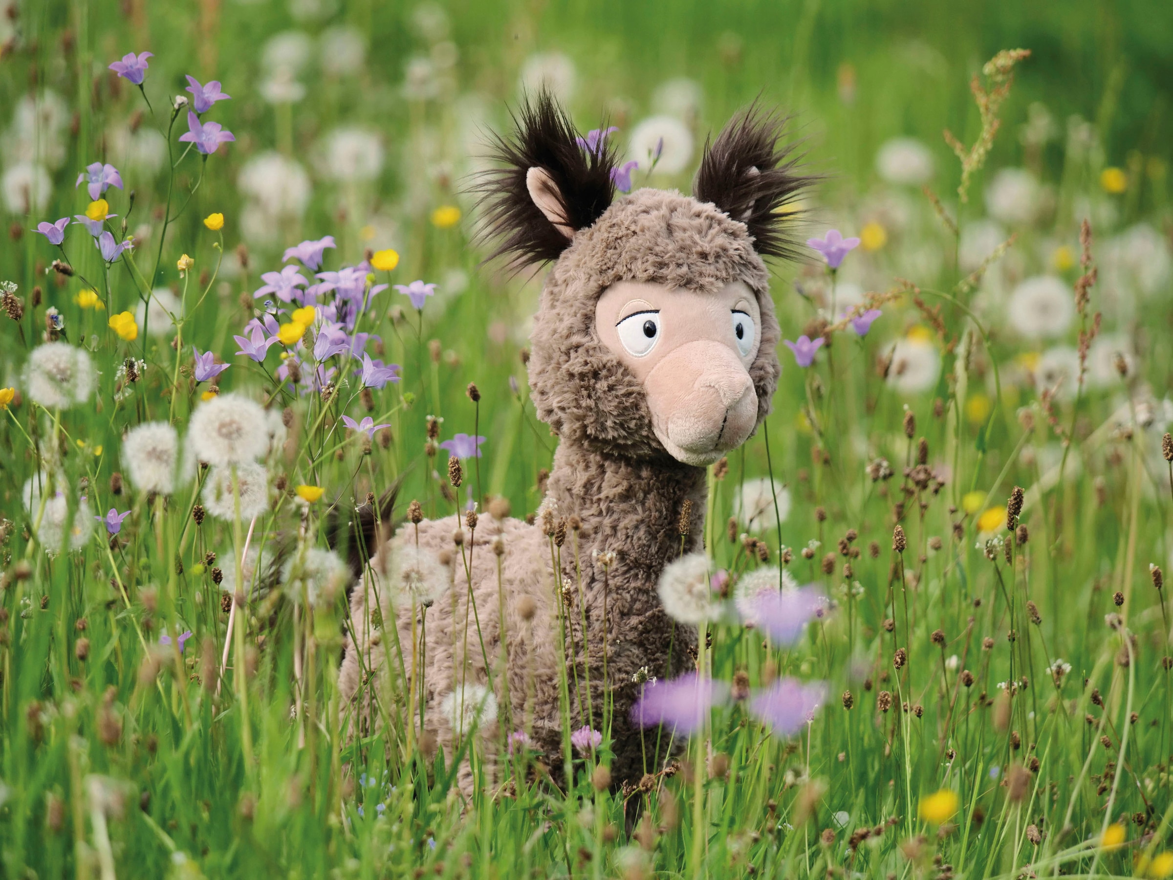 Nici Kuscheltier »Alpaca & Friends, Alpaka Chic Paka, 35 cm«, enthält recyceltes Material (Global Recycled Standard)