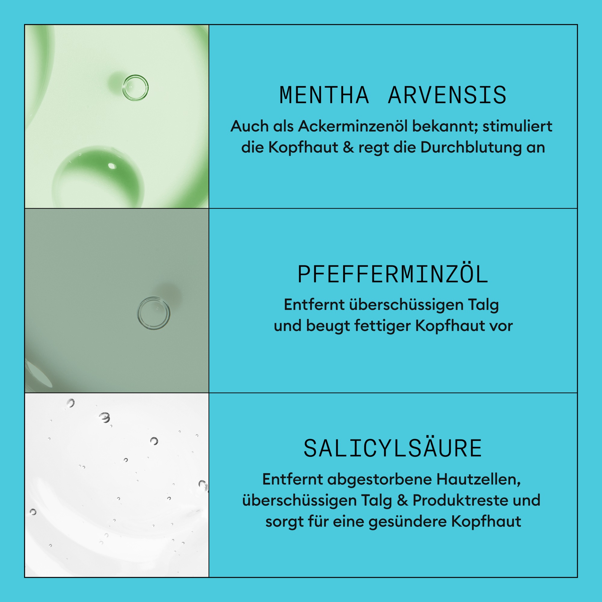 Nioxin Haarshampoo »Scalp + Hair System 3 Shampoo« mehr Volumen, schützt vor Haarbruch, speziell für coloriertes Haar