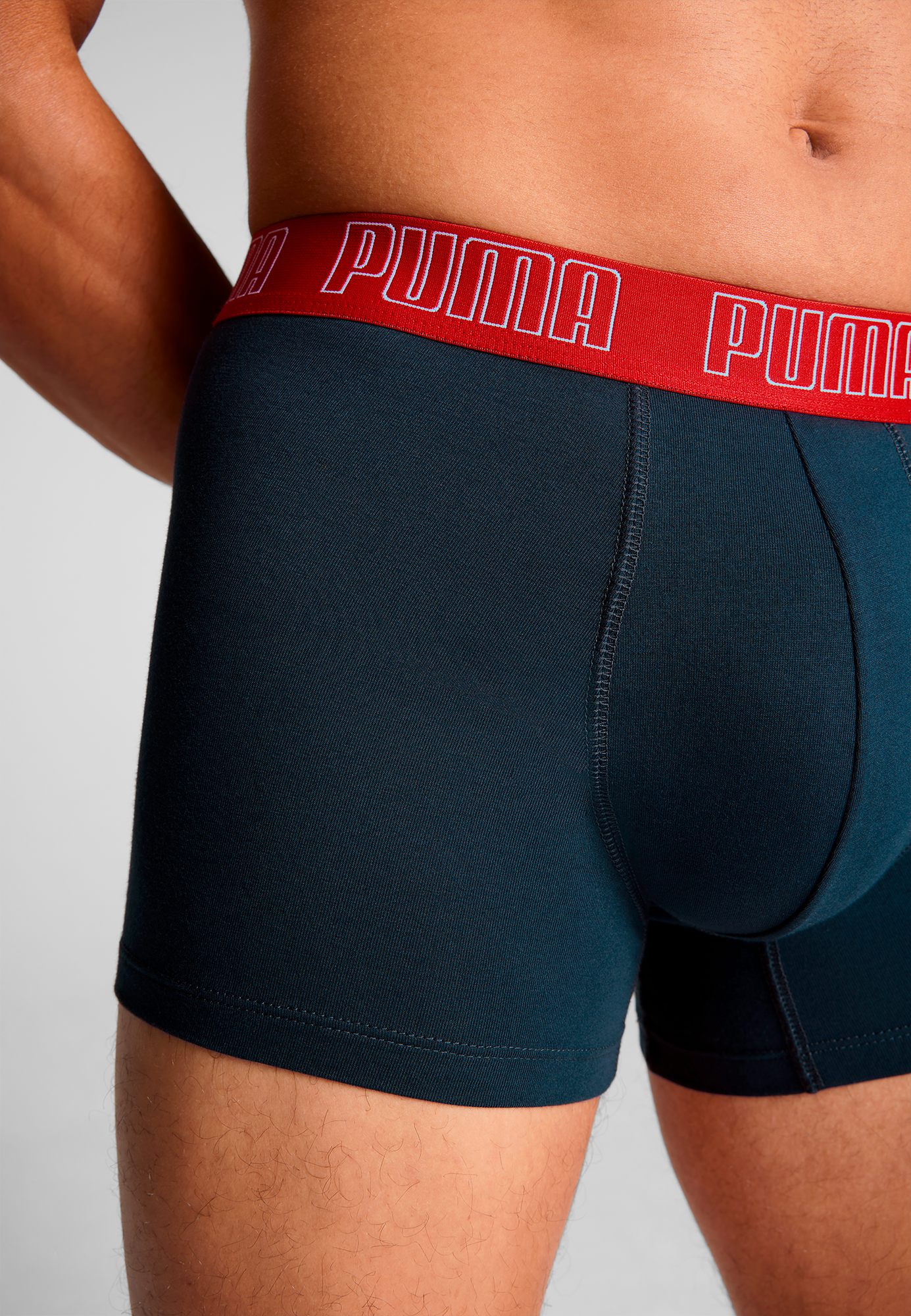 PUMA Trunk »PUMA MEN EVERYDAY TRUNKS 2P« 2er Pack,  mit Logobund