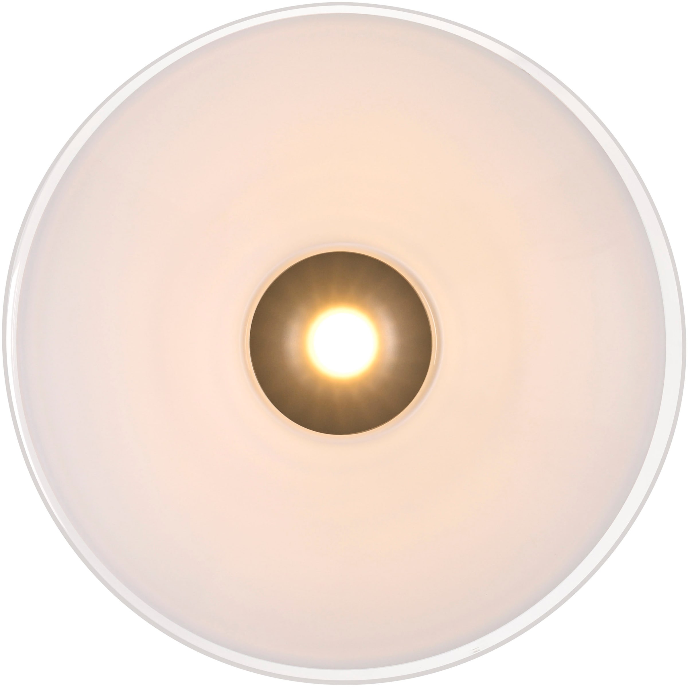Paul Neuhaus LED Deckenleuchte »ELIPSA« LED-Board 1 Stk. Warmweiß Dimmfähig über separaten Tronicdimmer, Opalglas