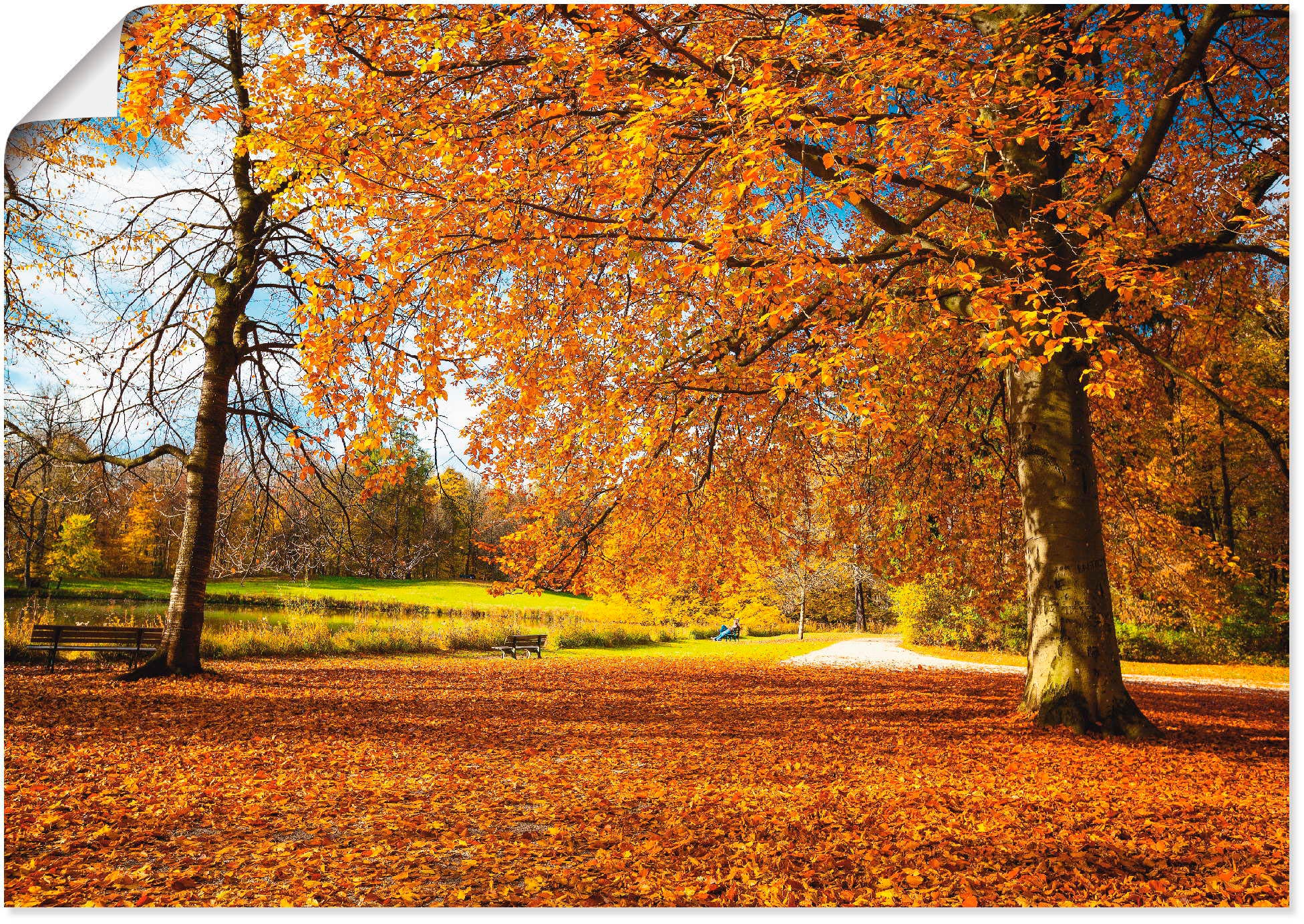 Artland Wandbild »Herbst bei Schlosses Nymphenburg«, Wiesen & Bäume, (1 St.), als Leinwandbild, Poster in verschied. Größen