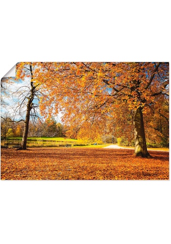 Wandbild »Herbst bei Schlosses Nymphenburg«, Wiesen & Bäume, (1 St.)