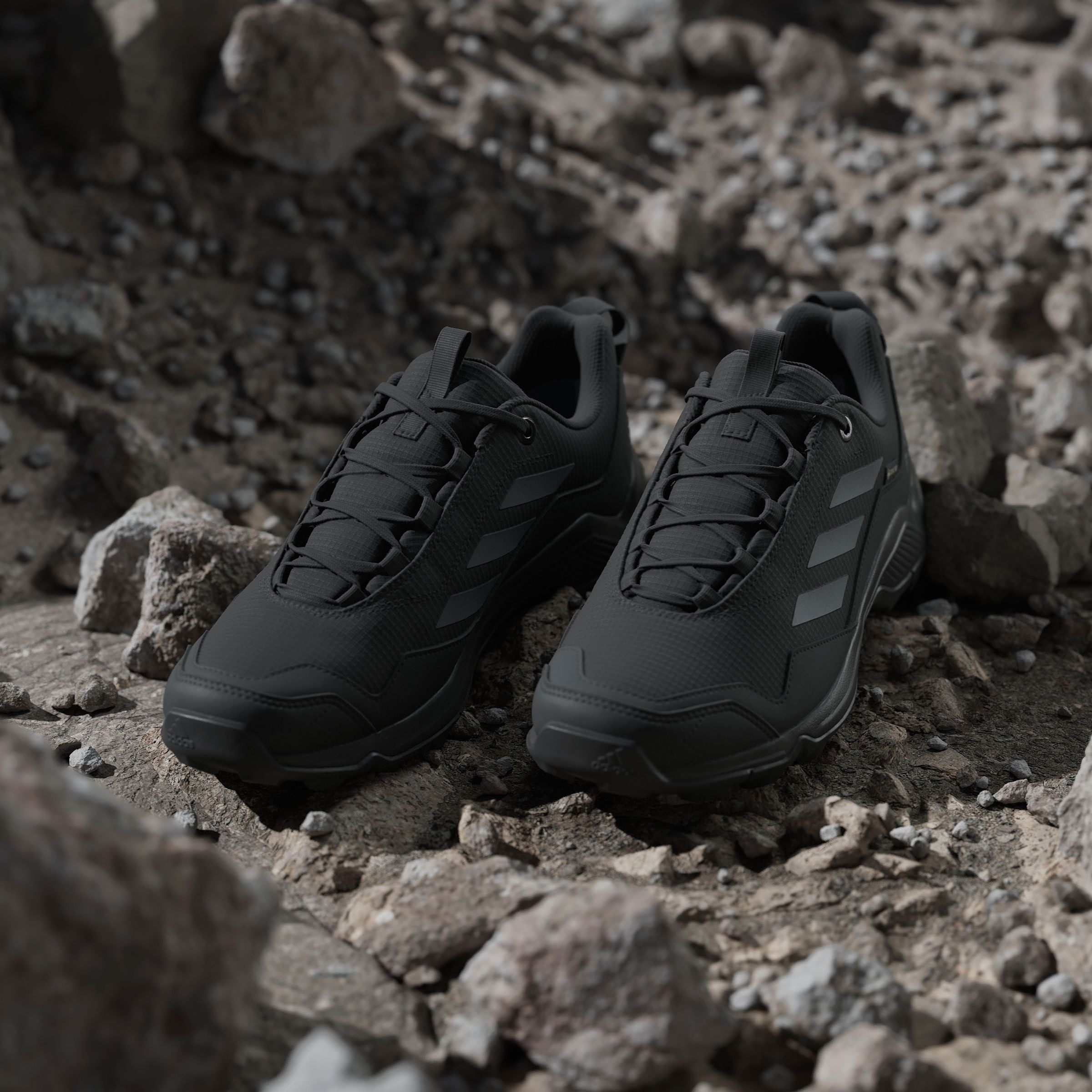 adidas TERREX Wanderschuh »TERREX EASTRAIL GORE-TEX«