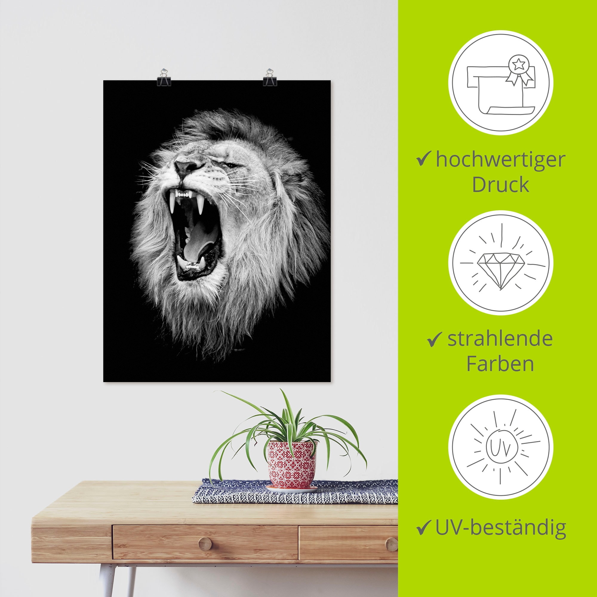 Artland Wandbild »Der Löwe« Wildtiere 1 Stk. tlg. als Leinwandbild, Poster in verschied. Größen