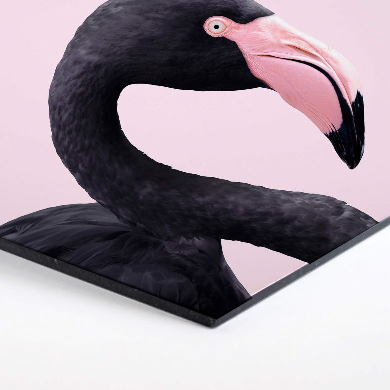 Wall-Art Metallbild »Rosa Flamingo Pink Black Hexagon«, (1 St.) bequem  bestellen