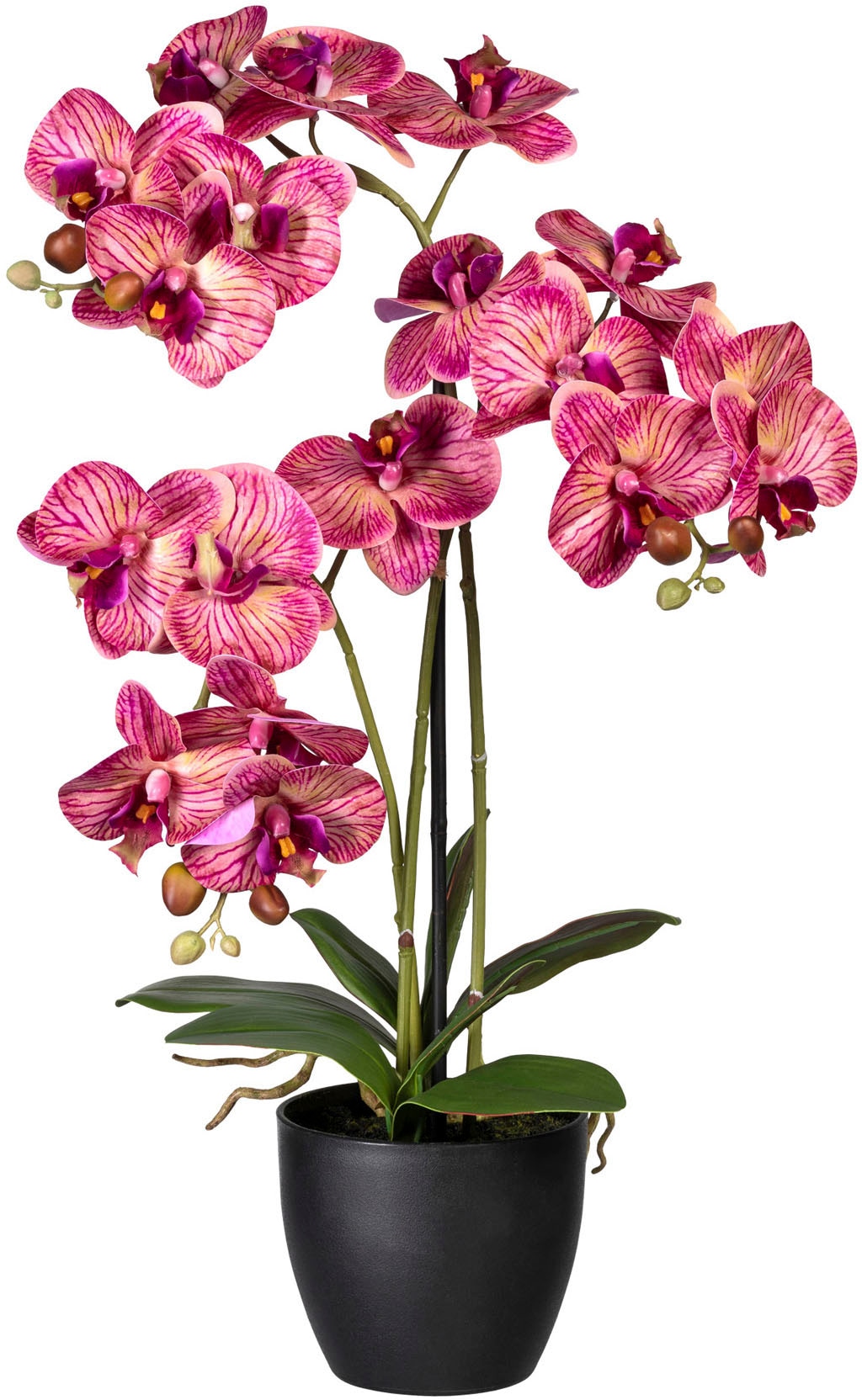 Creativ green Kunstorchidee »Phalaenopsis«