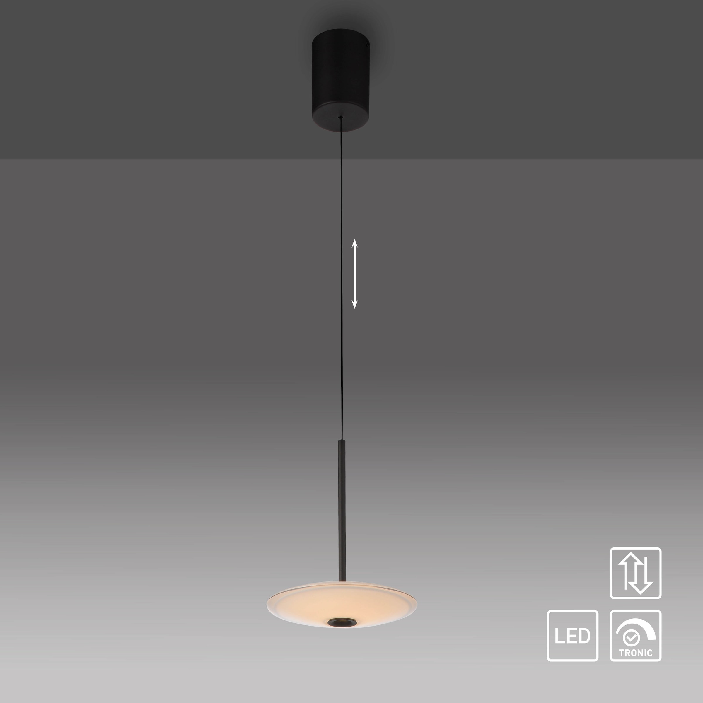 Paul Neuhaus LED Pendelleuchte »ELIPSA« LED-Board 1 Stk. Warmweiß Dimmfähig über separaten Tronicdimmer, Comfort-Lift
