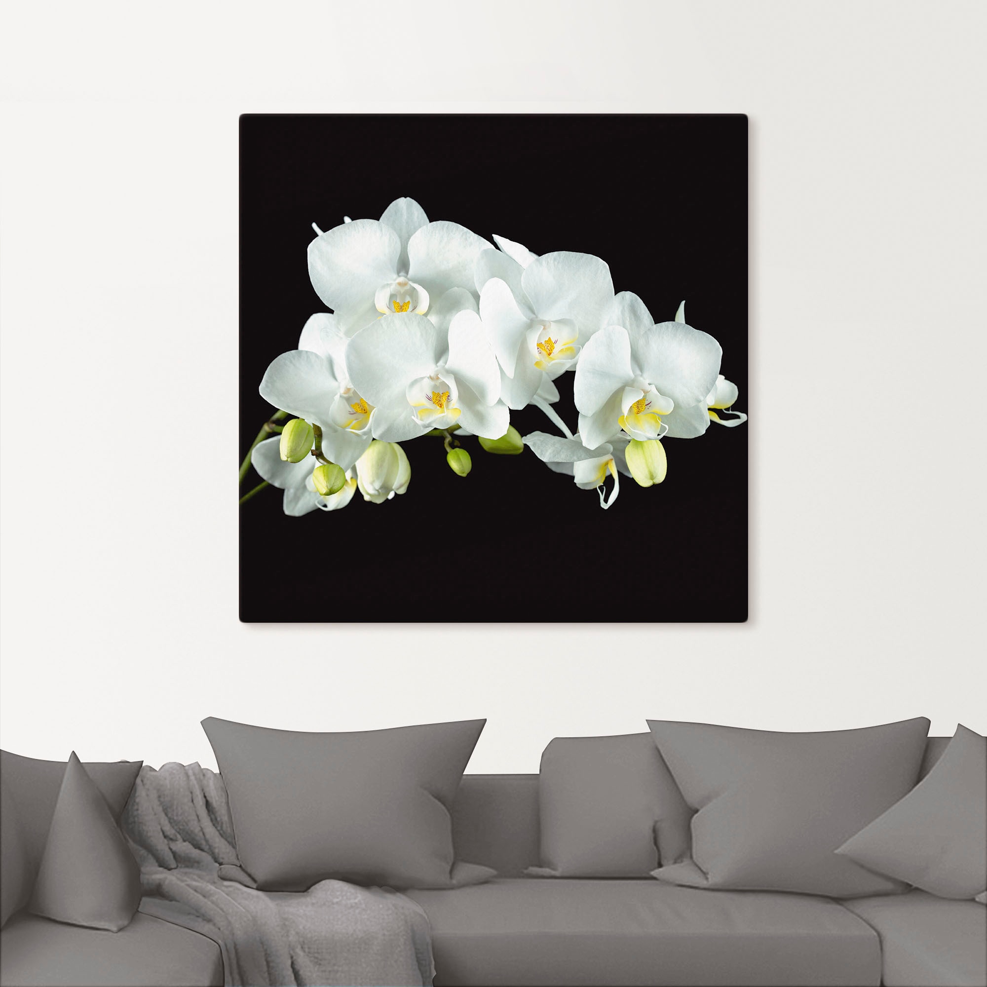 Wandbild »Weiße Orchidee auf schwarzem Hintergrund«, Blumen, (1 St.), als...