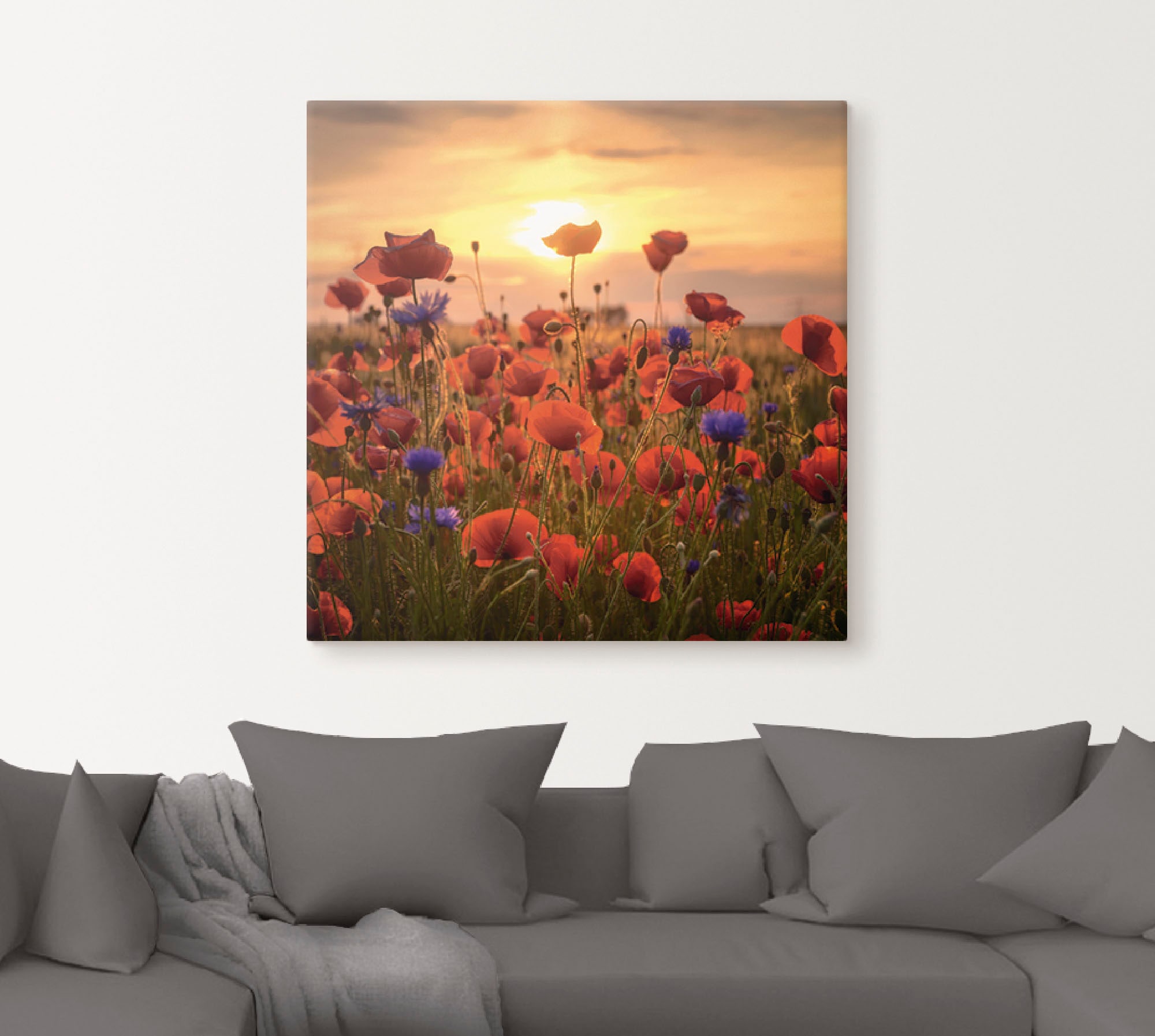 Artland Wandbild »Mohnblumen im Abendlicht«, Blumen, (1 St.), als Alubild, Outdoorbild, Leinwandbild, Poster, Wandaufkleber