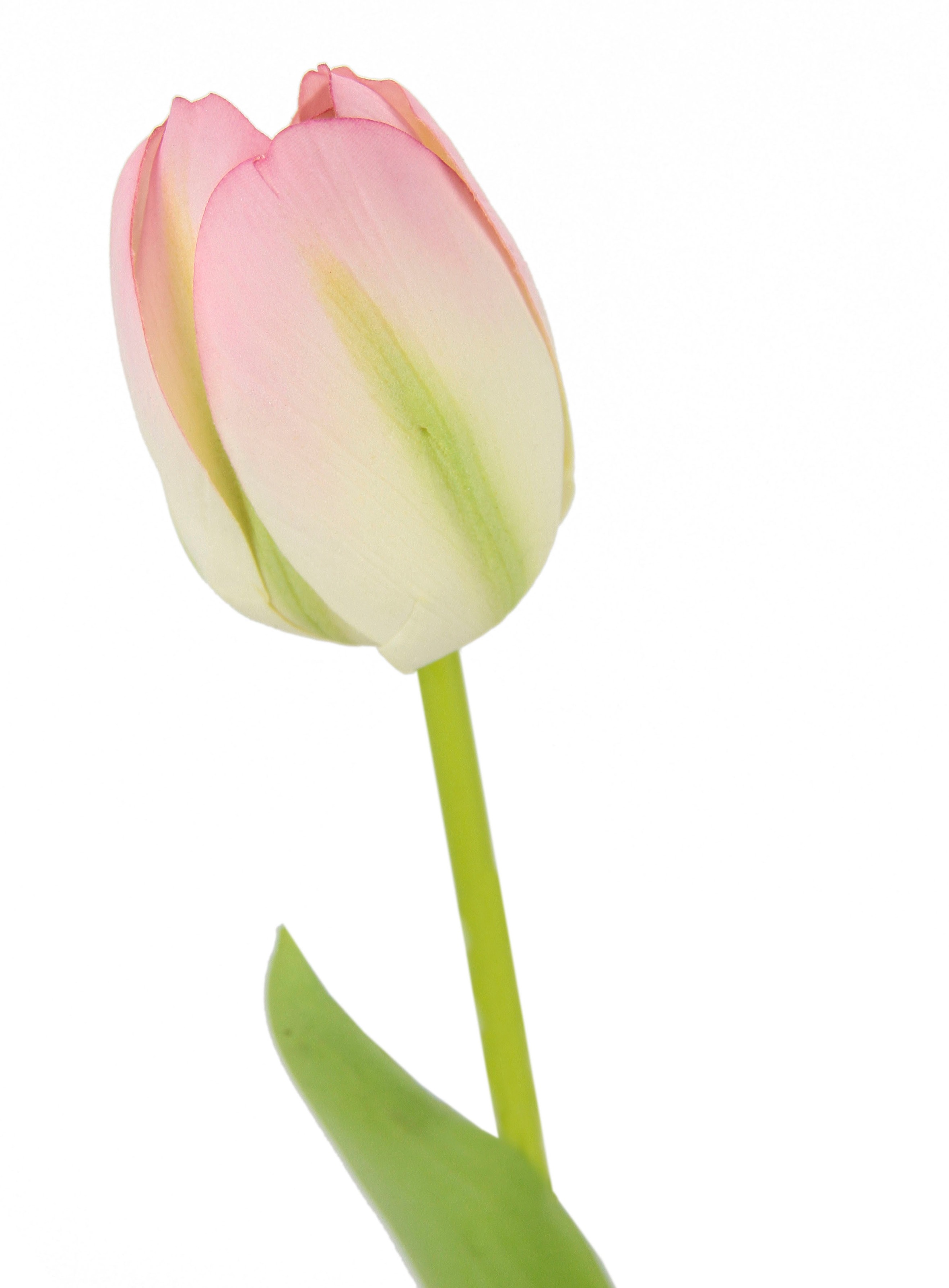 I.GE.A. Kunstblume »Real Touch Tulpen«, 5er Set künstliche Tulpenknospen, Kunstblumen, Stielblume