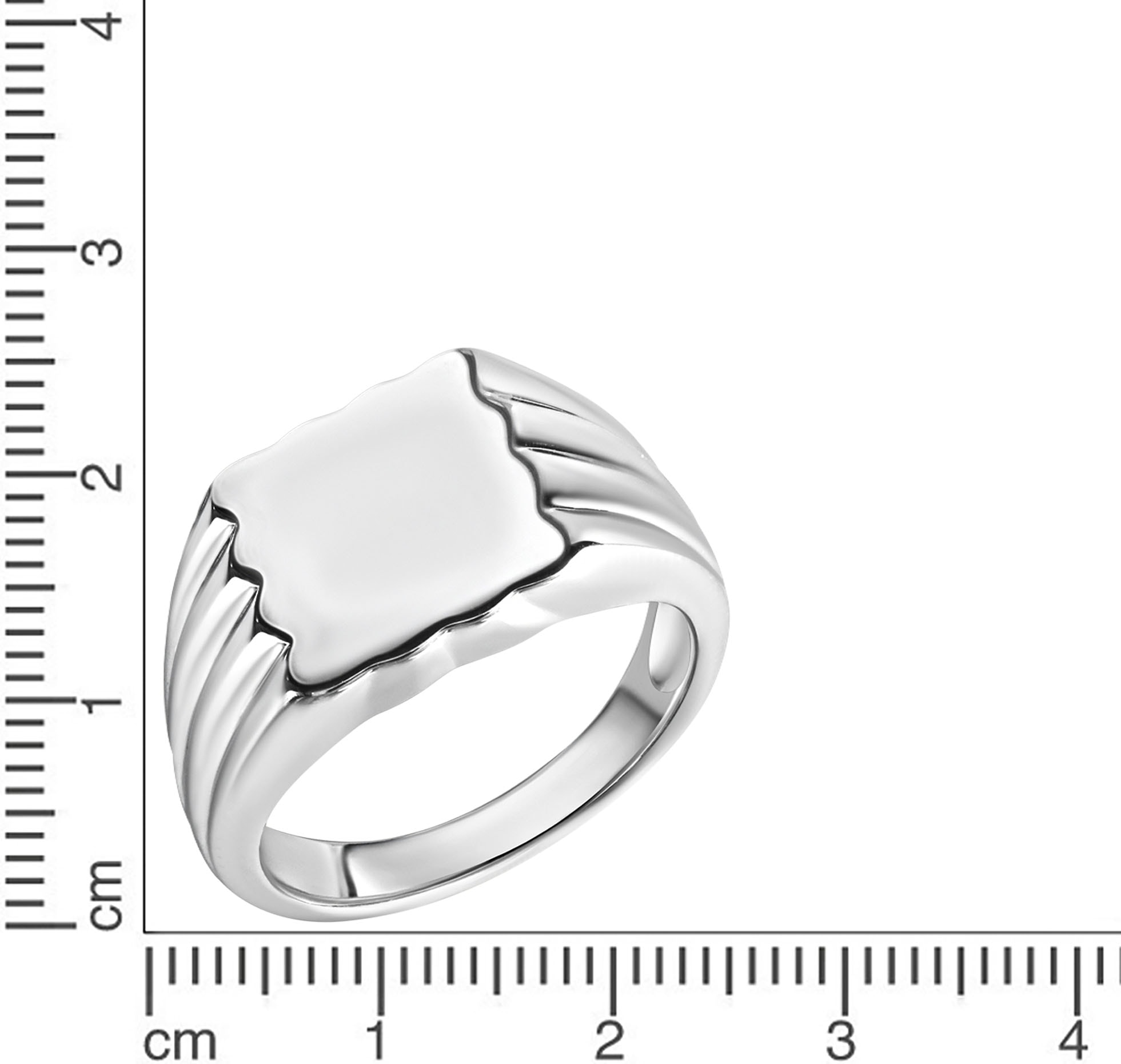 Firetti Siegelring »Schmuck Geschenk Silber 925 Fingerring Silberring«