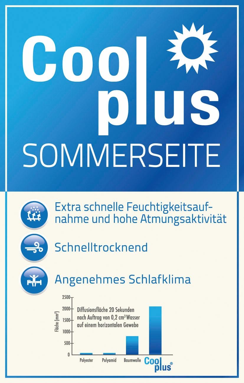 f.a.n. Schlafkomfort Mit Top-Cool, Bezug St.), »Mabona«, Füllqualitäten (1 (Sommer-/Winterseite) Microfaserbettdecke kaufen online 2 warm