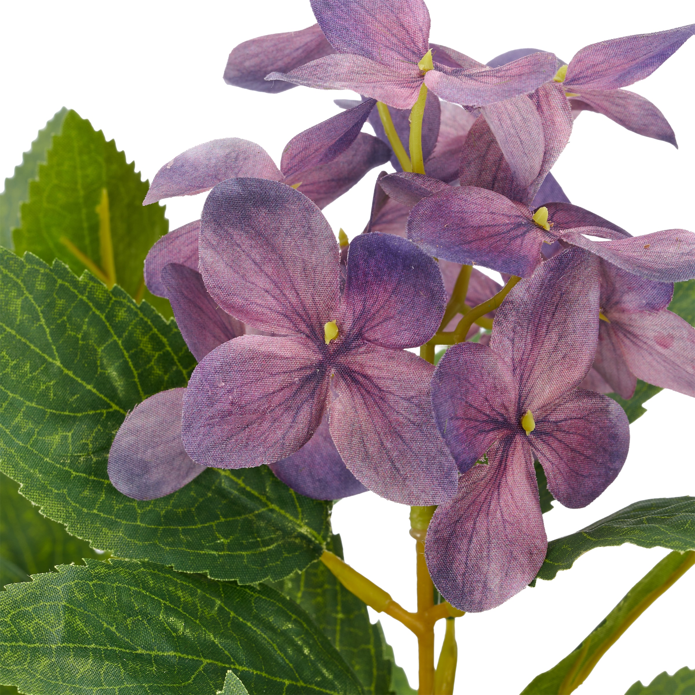 Creativ green Kunstpflanze »Hortensie paniculata« mit 8 Real-Touch-Blüten