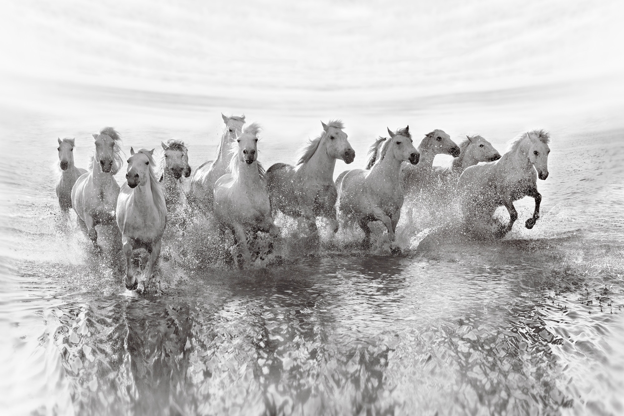 Papermoon Fototapete "Photo-Art ROMAN GOLUBENKO, TÄUSCHUNG DER MACHT (13 RUNDMACHT)"
