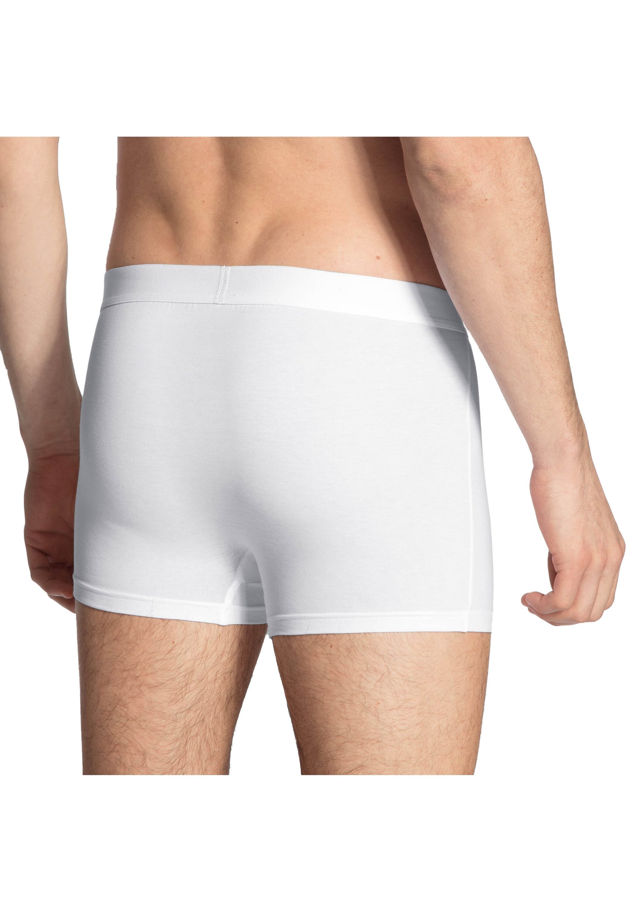 CALIDA Boxershorts »Boxershort New Boxer Cotton Code 2er Pack«