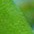 bunt
