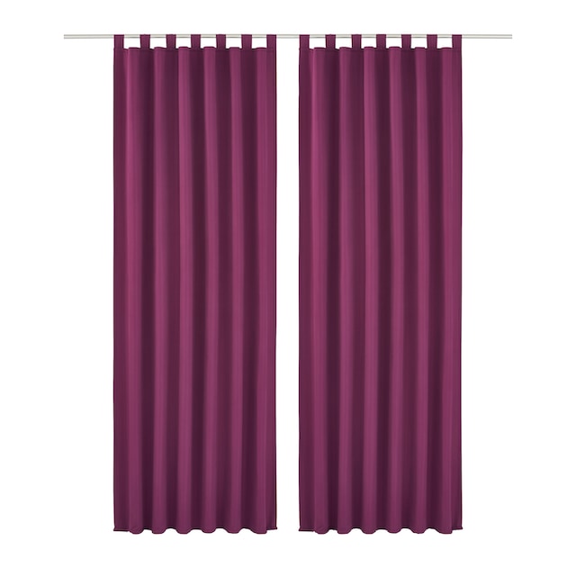 my home Vorhang »Raja«, (2 St.), 2er-Set, einfarbig, pflegeleichte  Mikrofaser-Qualität