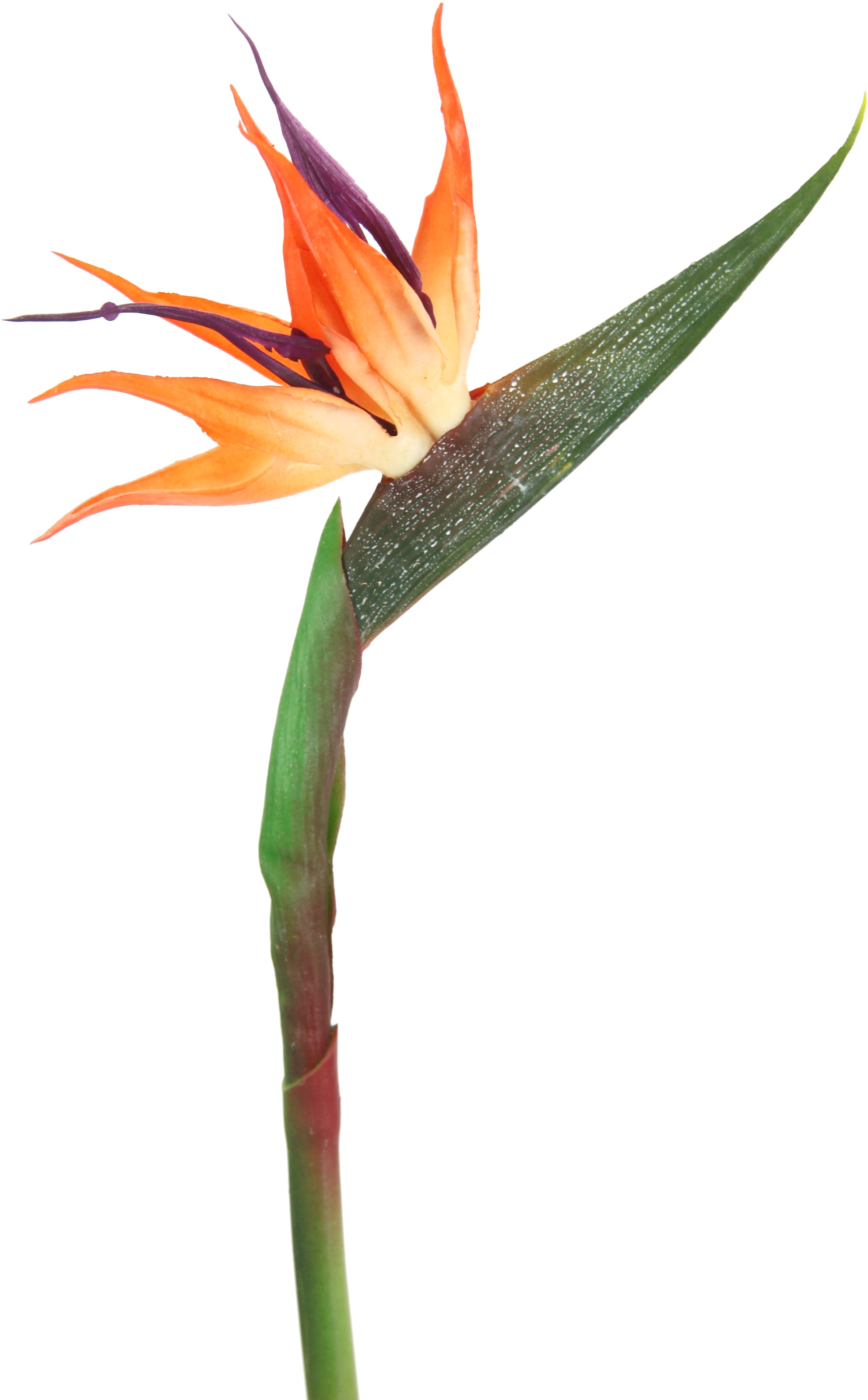 I.GE.A. Kunstblume »Künstliche Strelitzie Blume kaufen Dekoration auf Stielblume Zweig Hochzeit Dekoblume Paradiesvogelblume Raten Dekozweig«, Einzelblume Exotischer