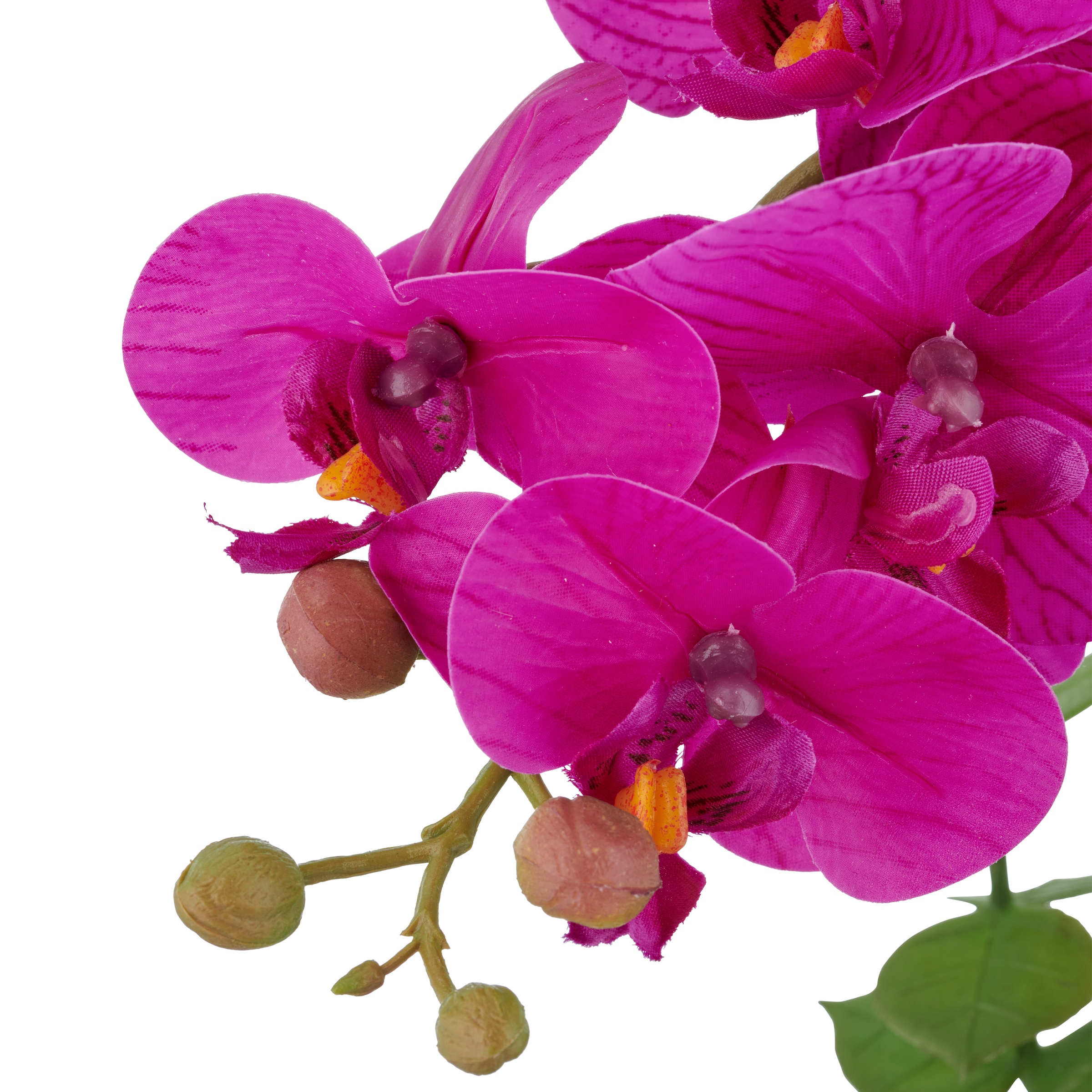 Creativ green Kunstorchidee »Orchidee Phalaenopsis«, mit Eukalyptuszweigen