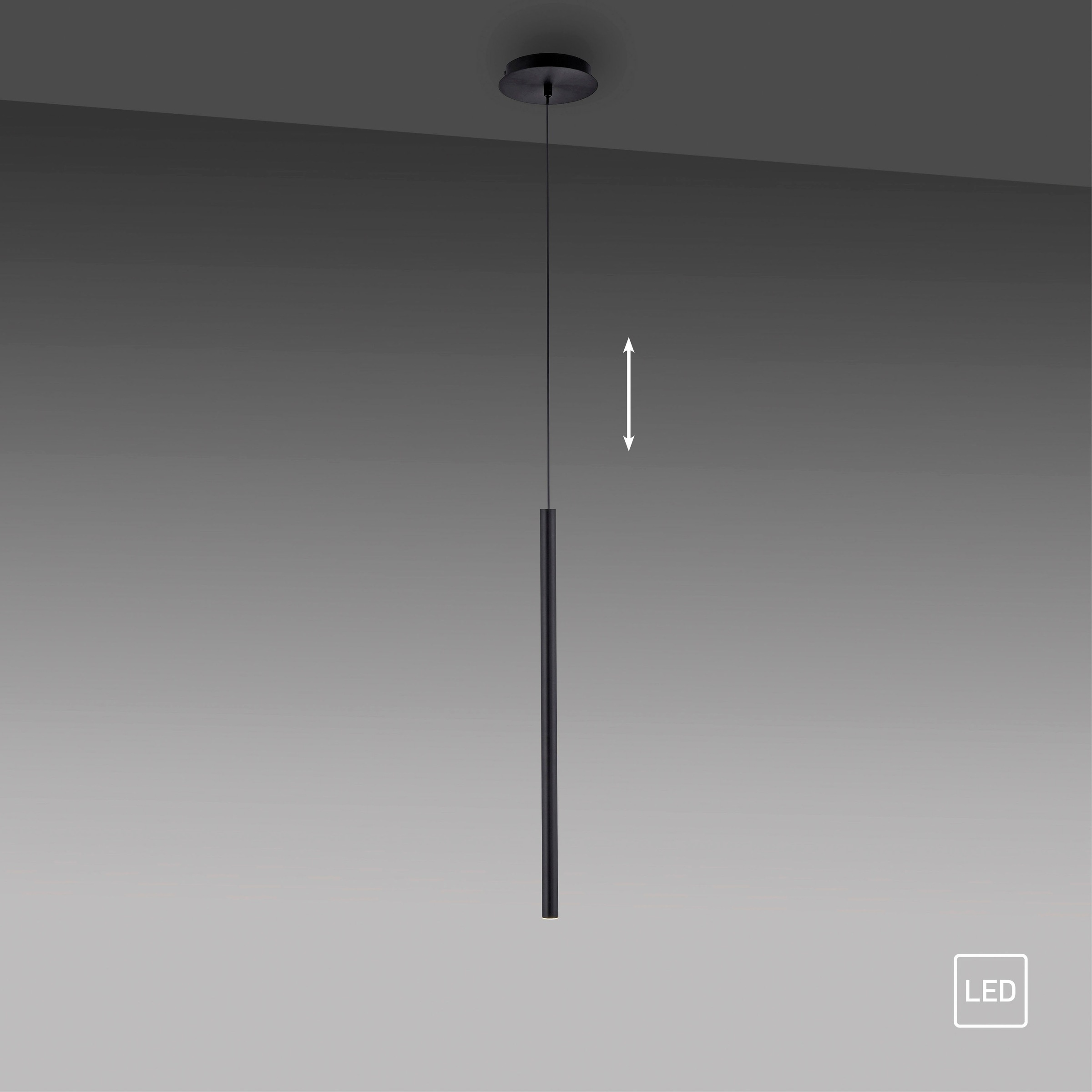 Paul Neuhaus Pendelleuchte »FLUTE«, 1 flammig, Leuchtmittel LED-Board | LED fest integriert
