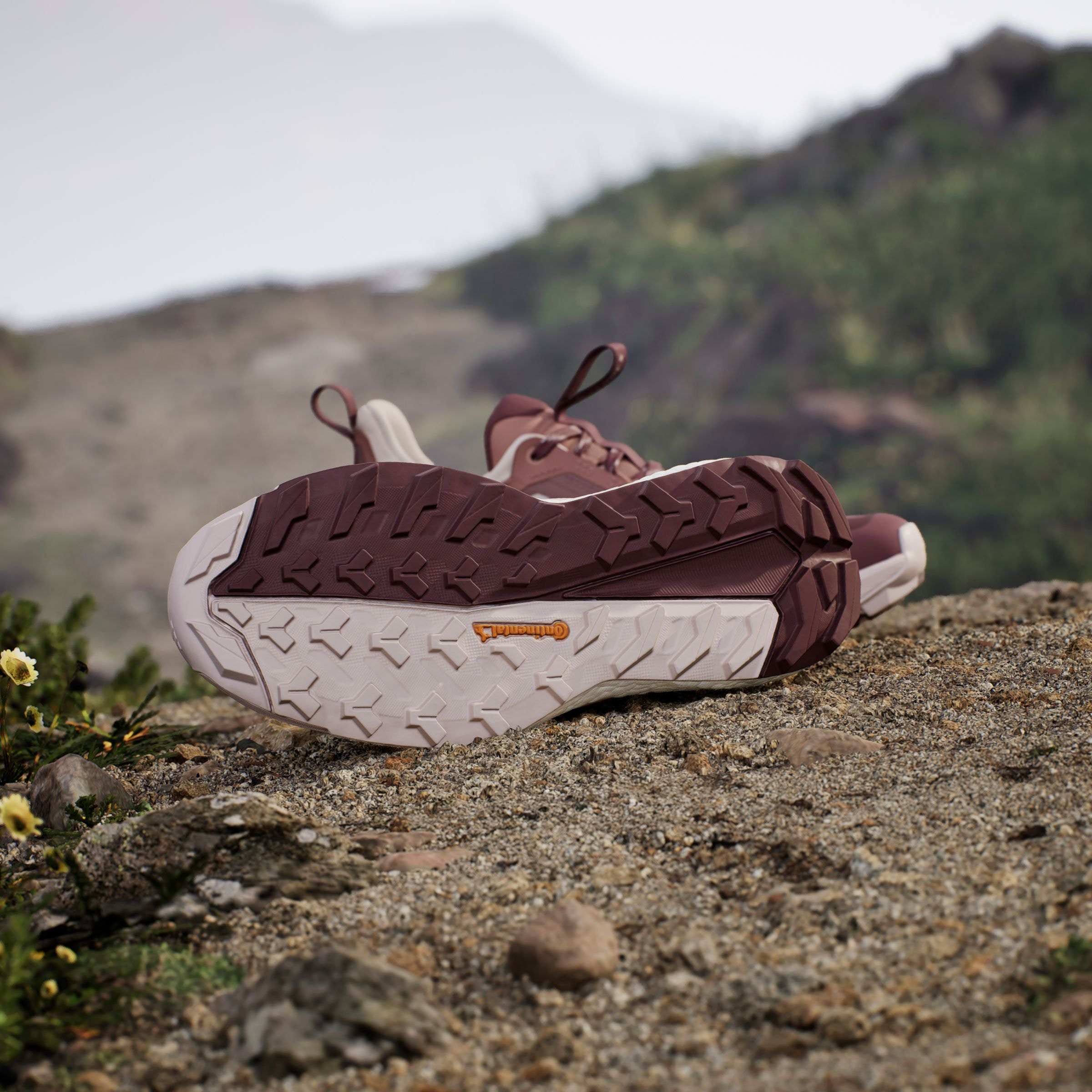 adidas TERREX Wanderschuh »TERREX FREE HIKER 2.0 LOW«