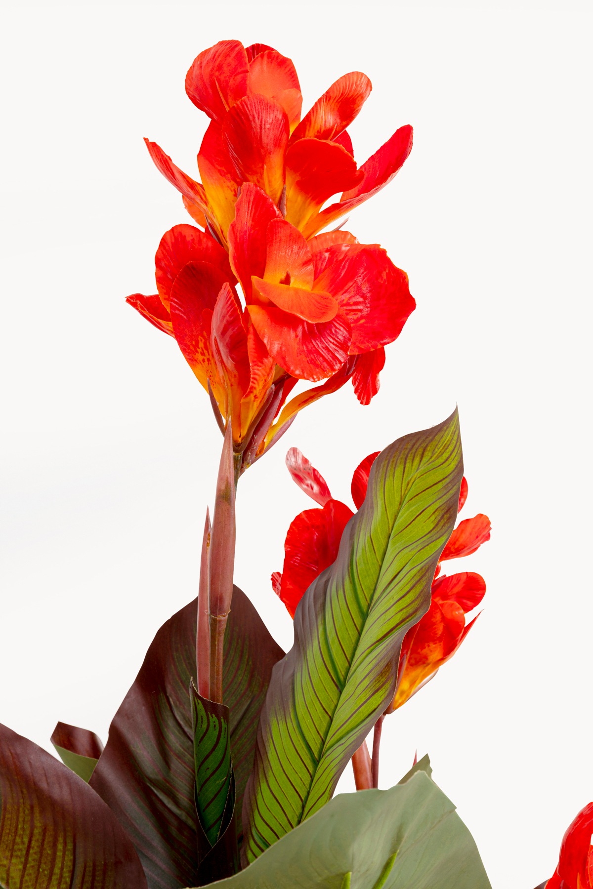 Kare Design Künstliche Zimmerpflanze »Deko-Pflanze Canna Lily« 115 oder 165 cm Höhe