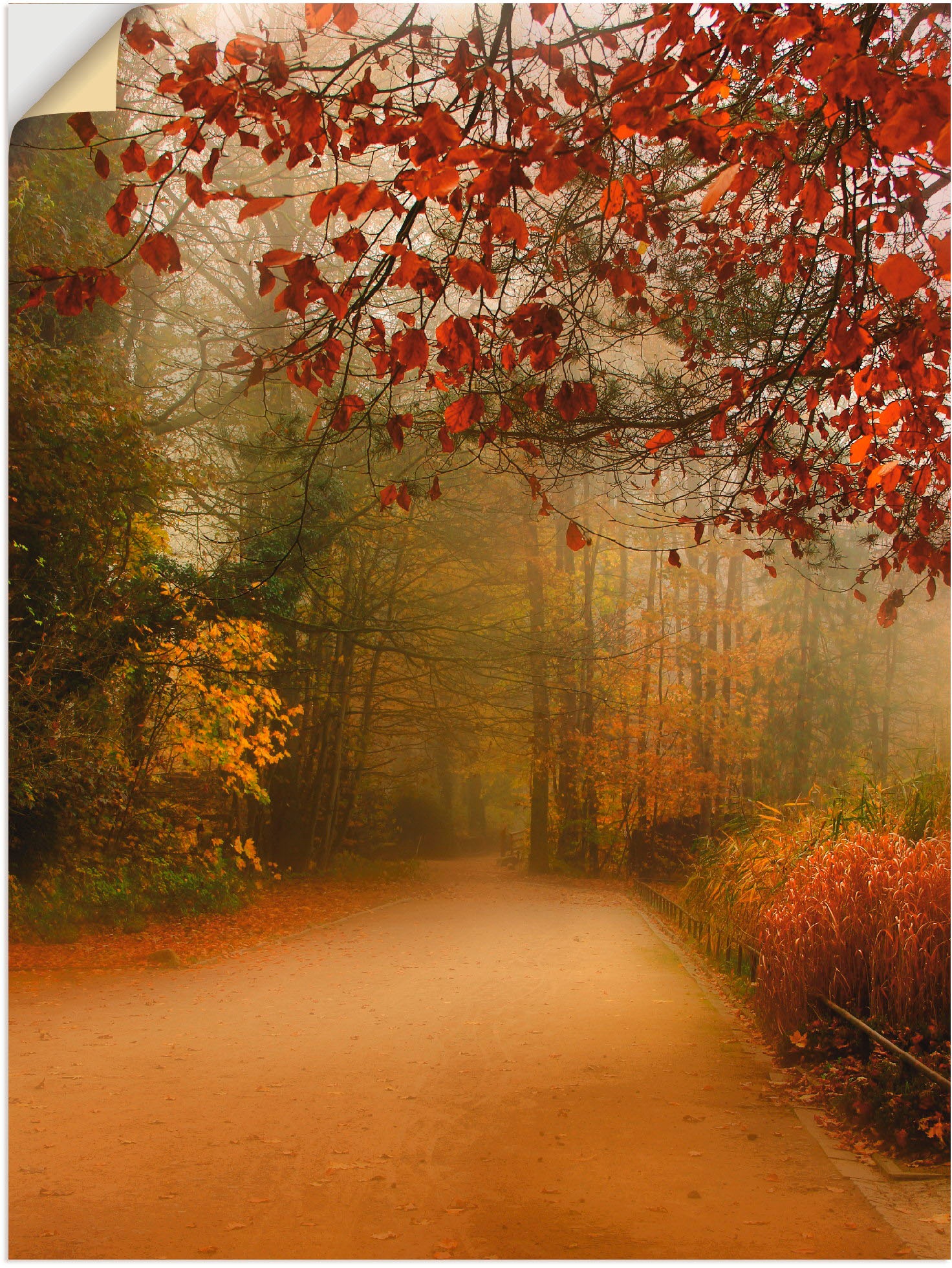 Artland Wandbild »Herbst im Park«, Wandaufkleber Vier Leinwandbild, oder Größen Jahreszeiten, als Raten versch. (1 Poster kaufen in auf St.)