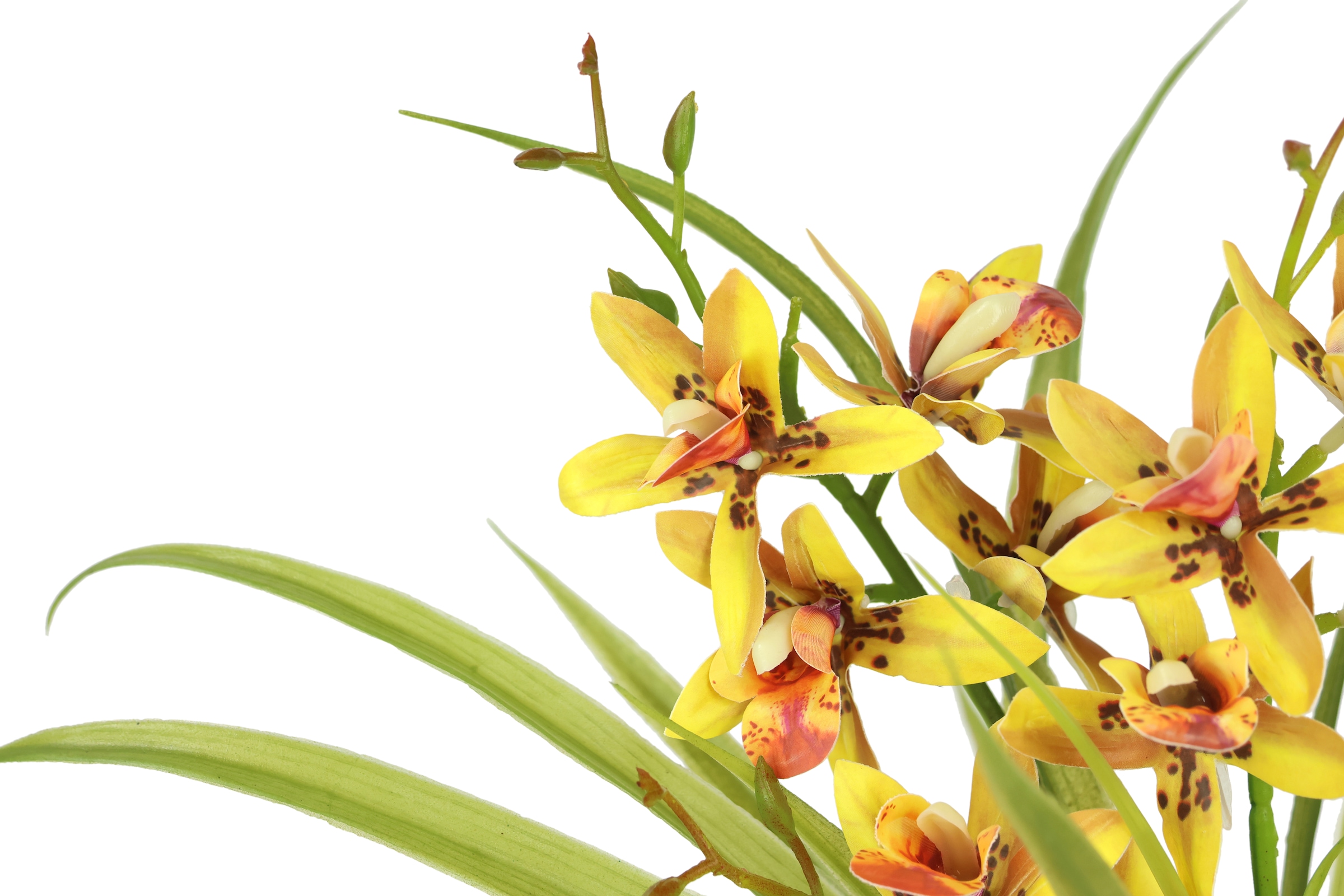 I.GE.A. Kunstblume »Kunstblume Schmetterling Orchidee mit Keramiktopf« Mit Blätter Luftwurzeln Blume Kunstorchidee Phalaenopsis Kunstpflanze