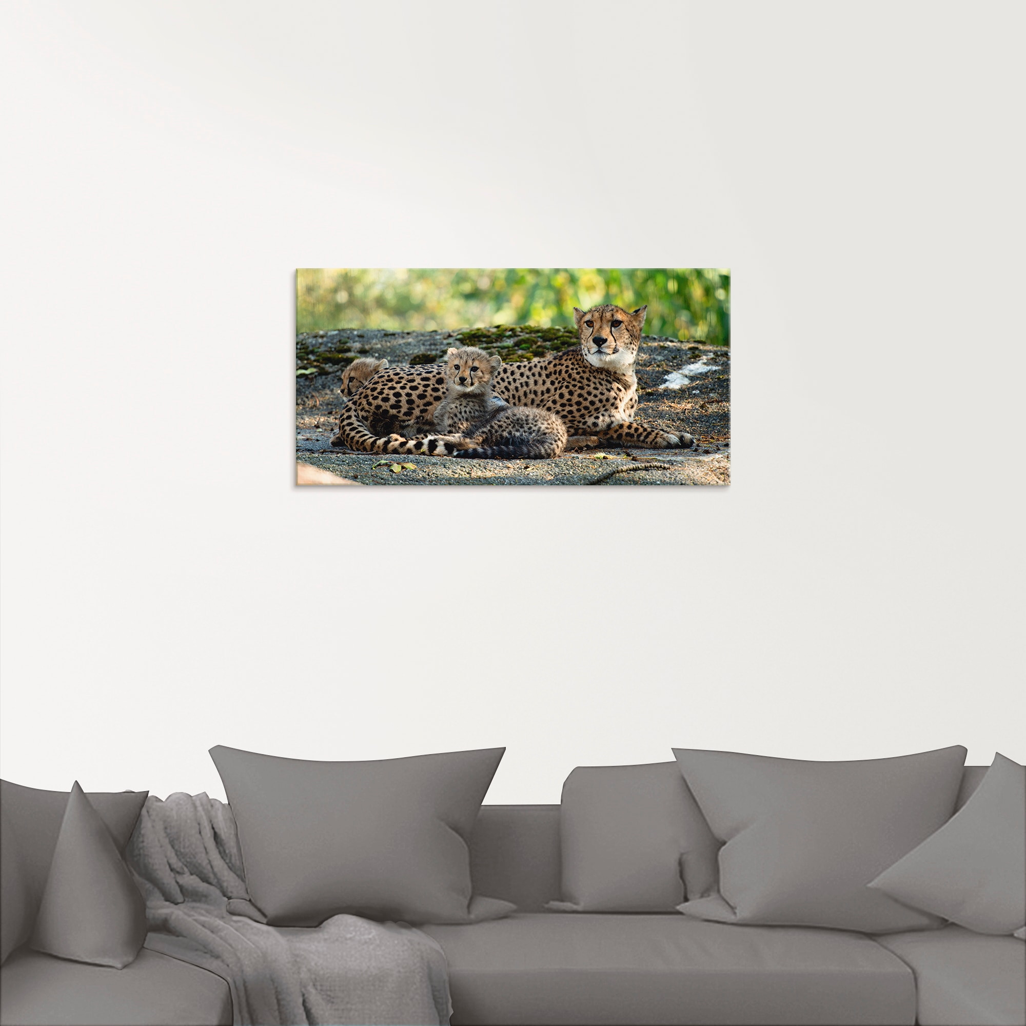 Artland Glasbild »Gepard 2« Wildtiere 1 Stk. tlg. in verschiedenen Größen